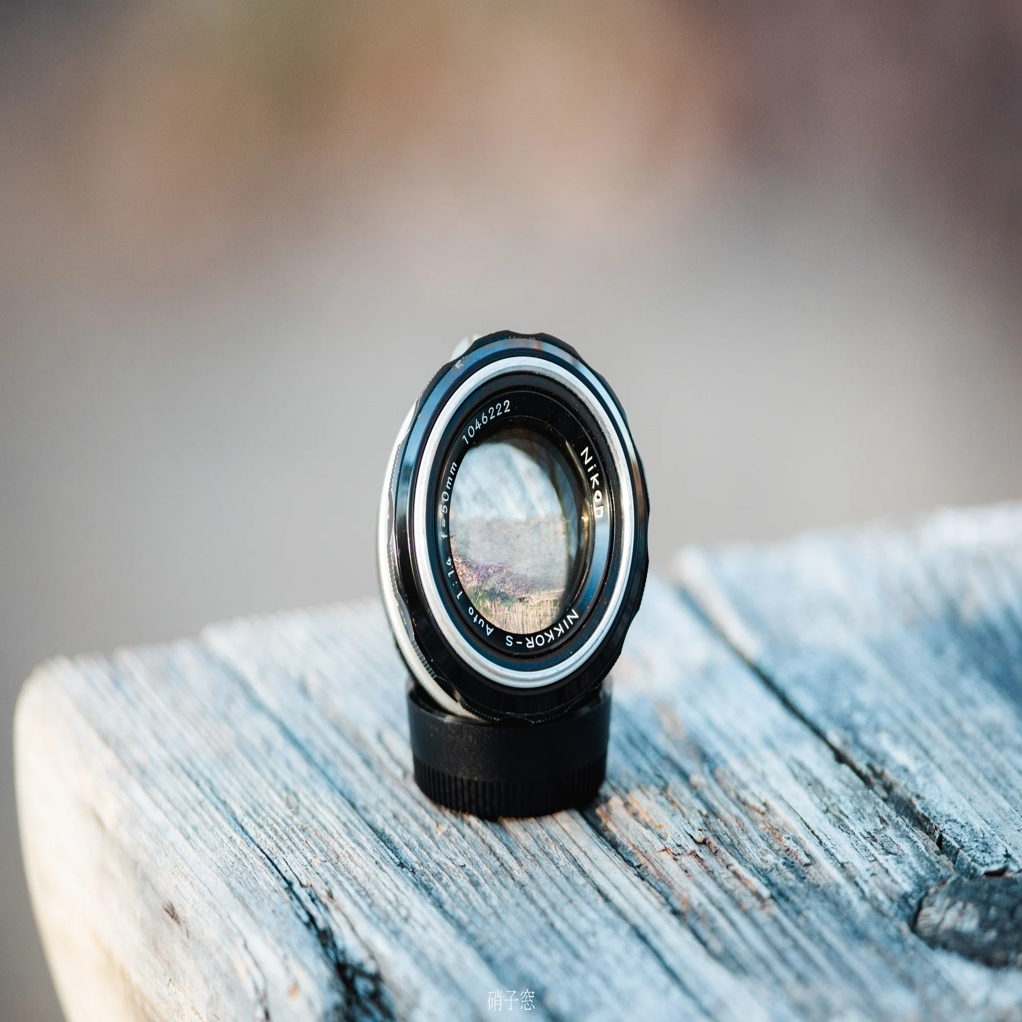 Nikkor-S Auto 50mm F1.4｜硝子窓