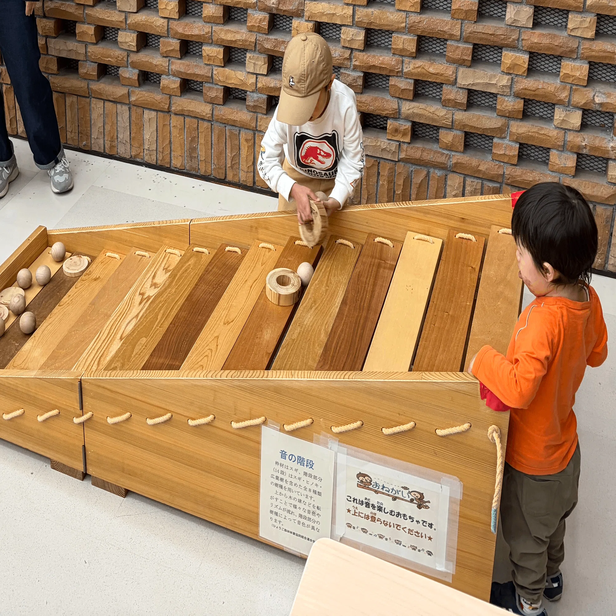 こうべの木マルシェ2026」出展者紹介！｜こうべ森と木プラットフォーム