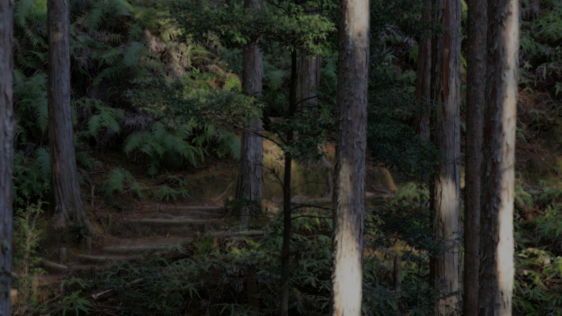 自己紹介｜玄巌｜熊野直系 神降祈祷師