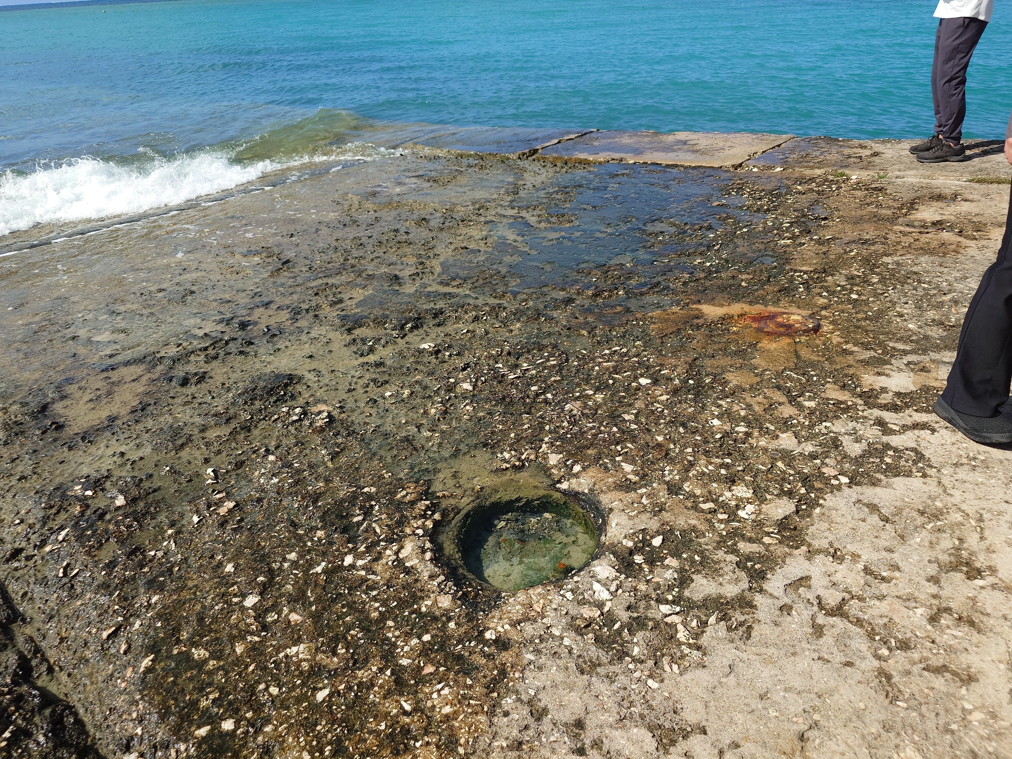 サイパン戦慰霊の旅㉖ 海軍水上基地跡・燃料庫跡｜comomo