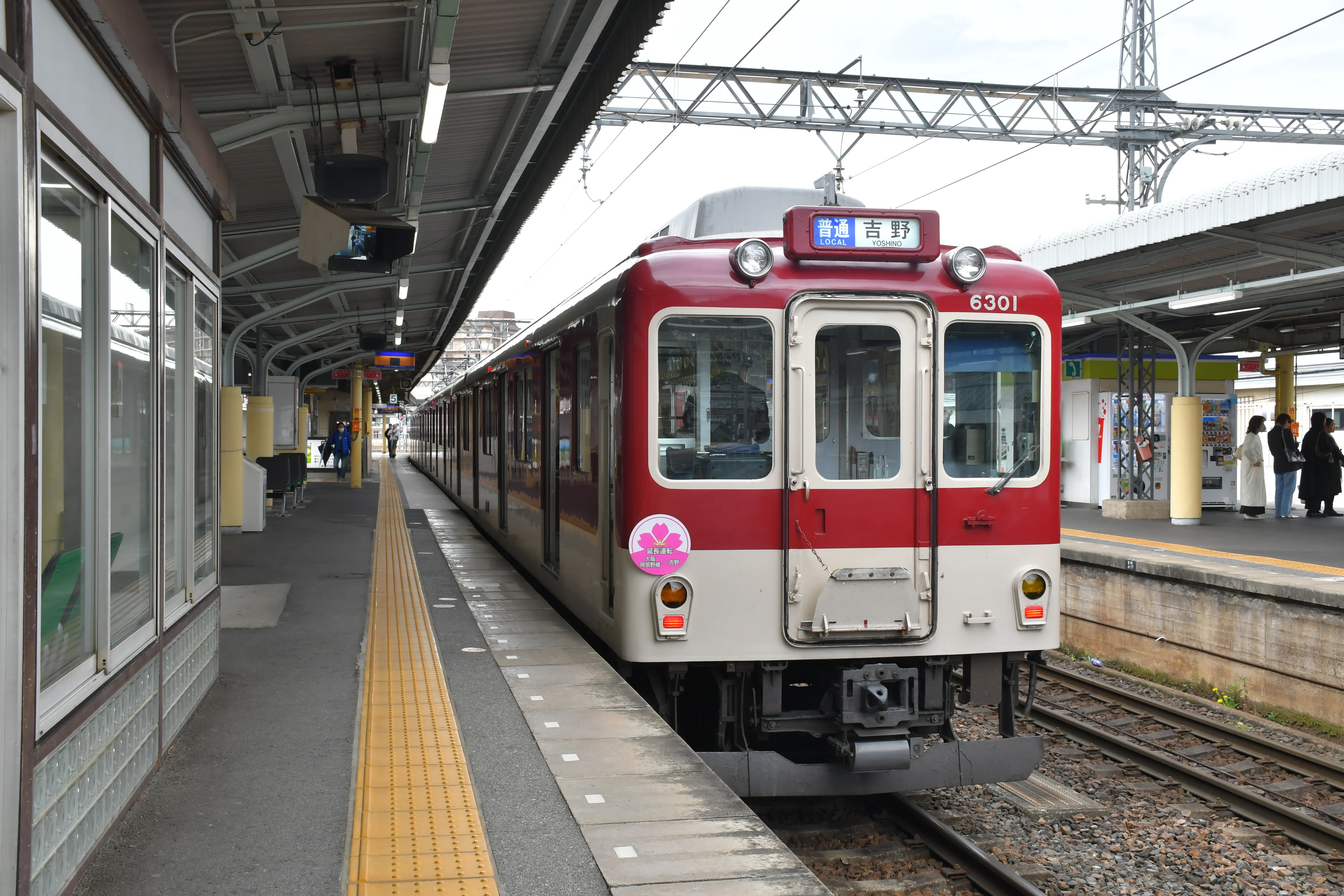 さくら号】臨時快速急行で行く観桜期の吉野山｜ふーるー