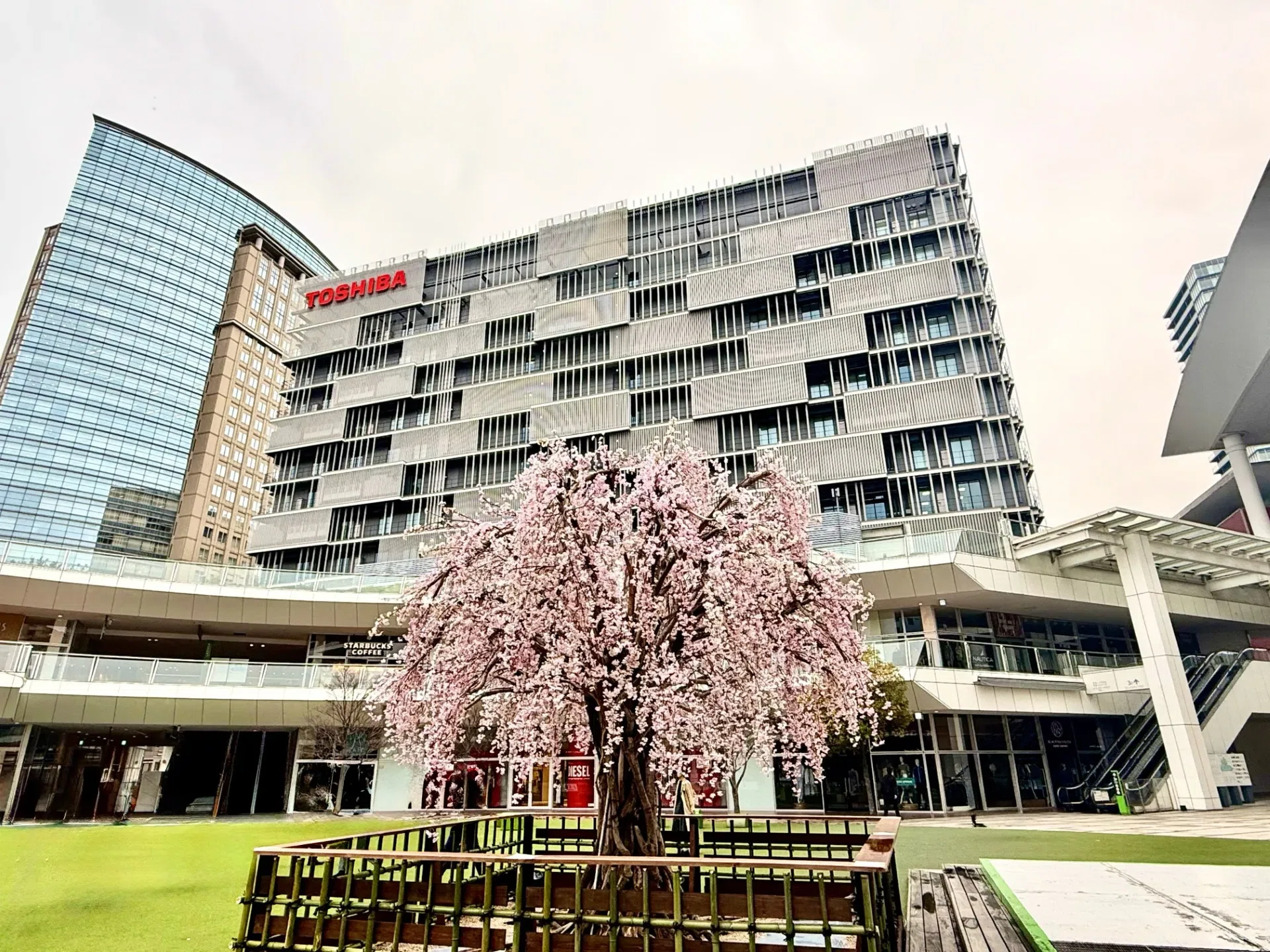 2026年度 東芝入社式＆導入研修レポート！｜JOURNAL｜東芝採用note