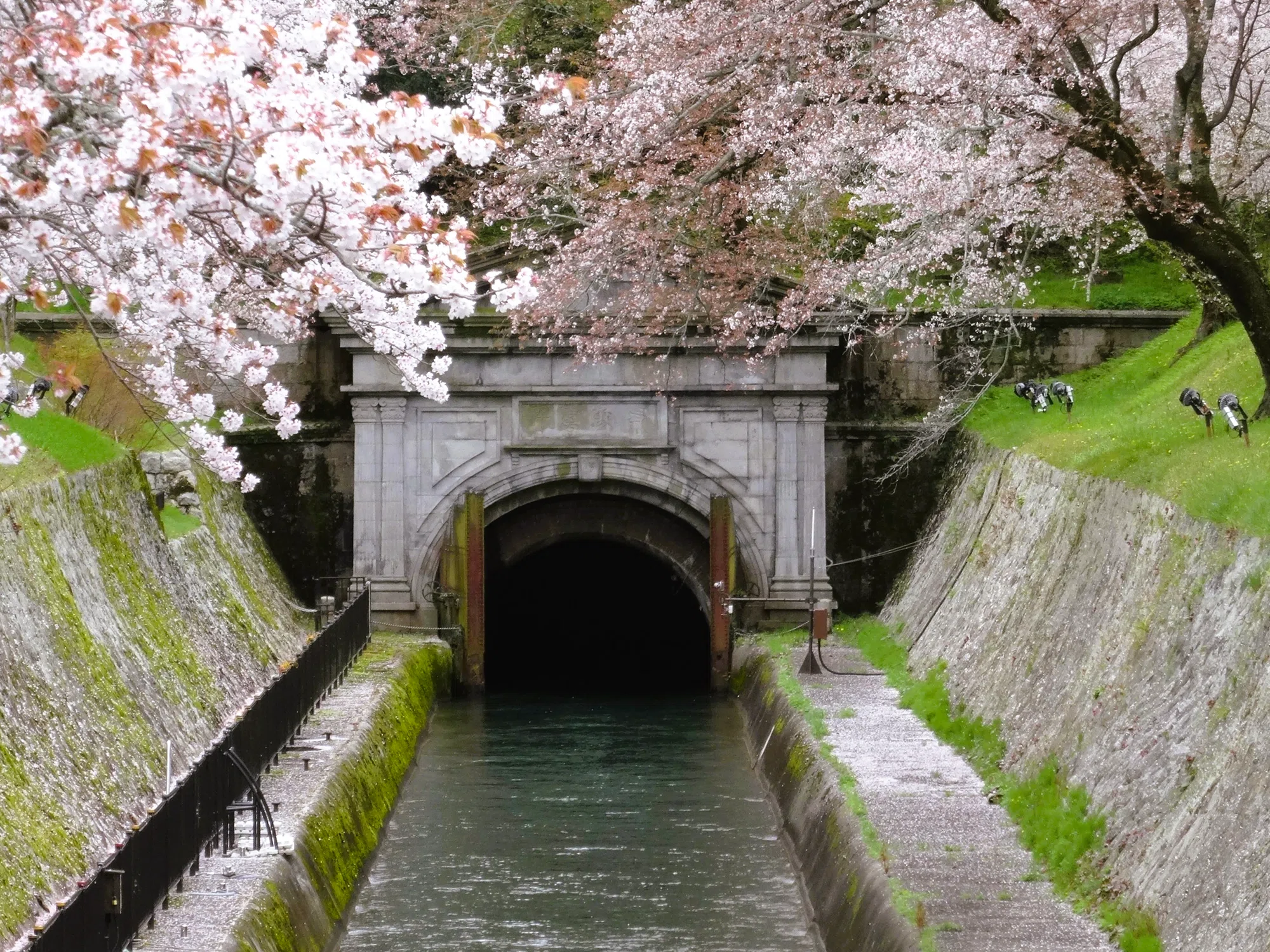 疏水の桜|鴨東 疏水の桜|鴨東