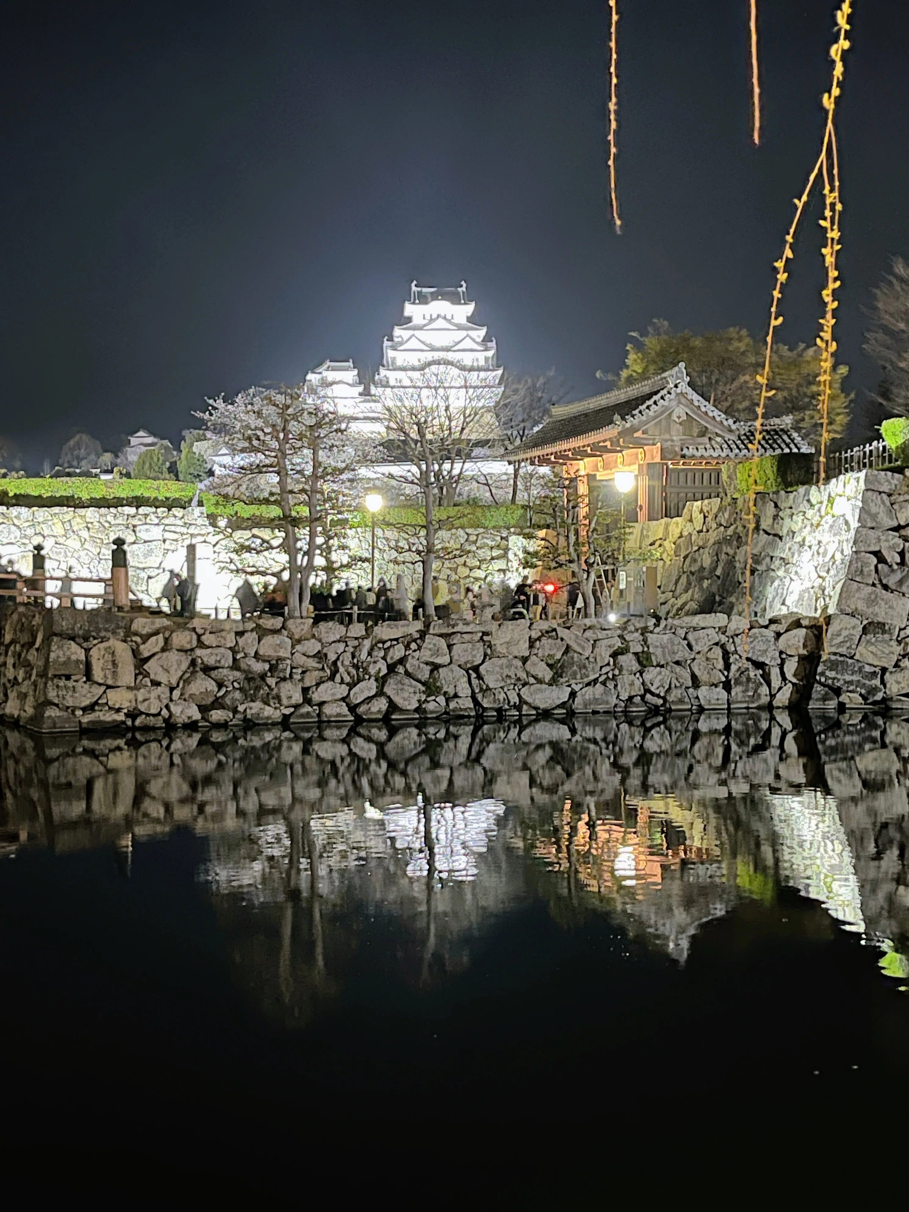 姫路城 夜桜会 2026 🌸 春彩舞桜｜白亜の天守を彩る、幻想的な光と音の