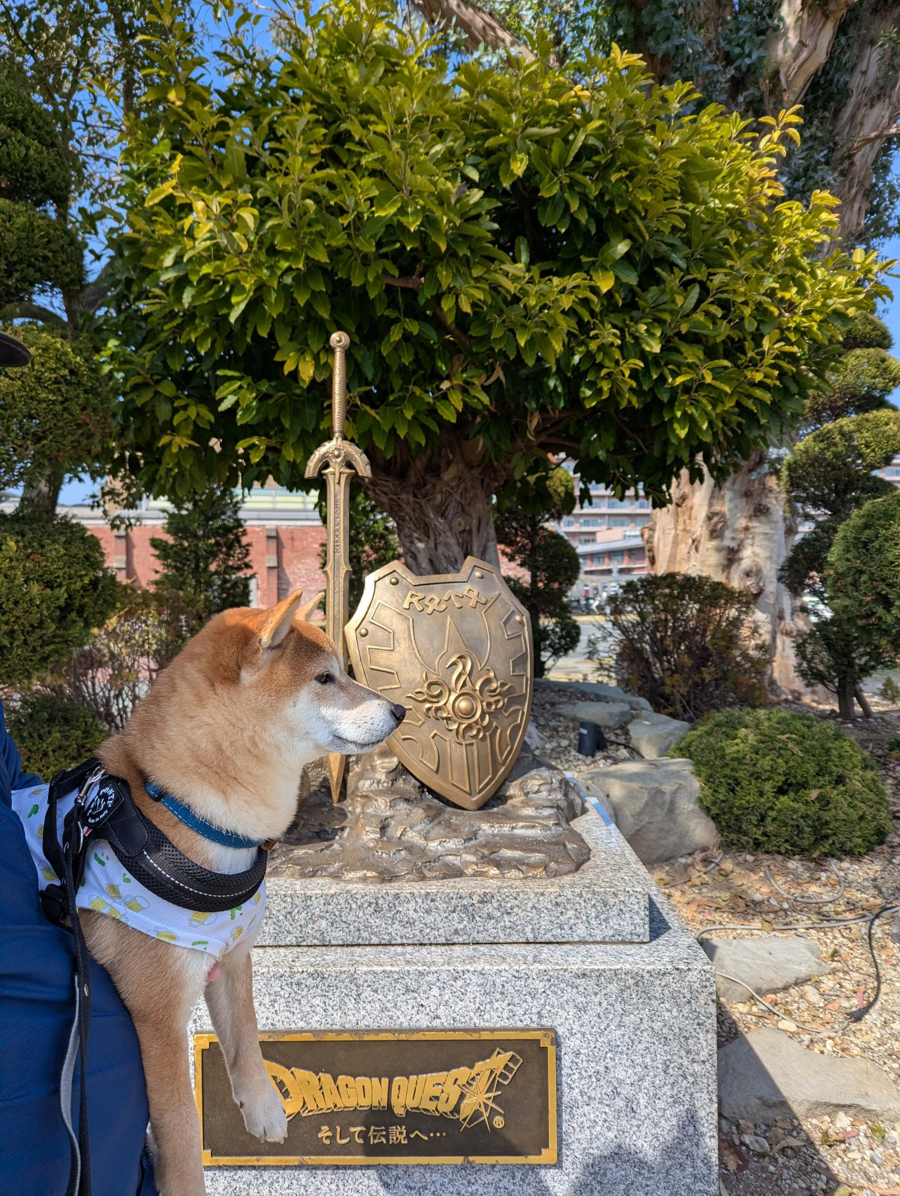 妻の作った　北欧風の犬神家　朝霧に浮かぶスケキヨ・イヌガミと斧琴菊の抹茶茶碗 久しぶりに淡路島に行ってきました(^^♪②伊弉諾神宮～ニジゲンノモリ