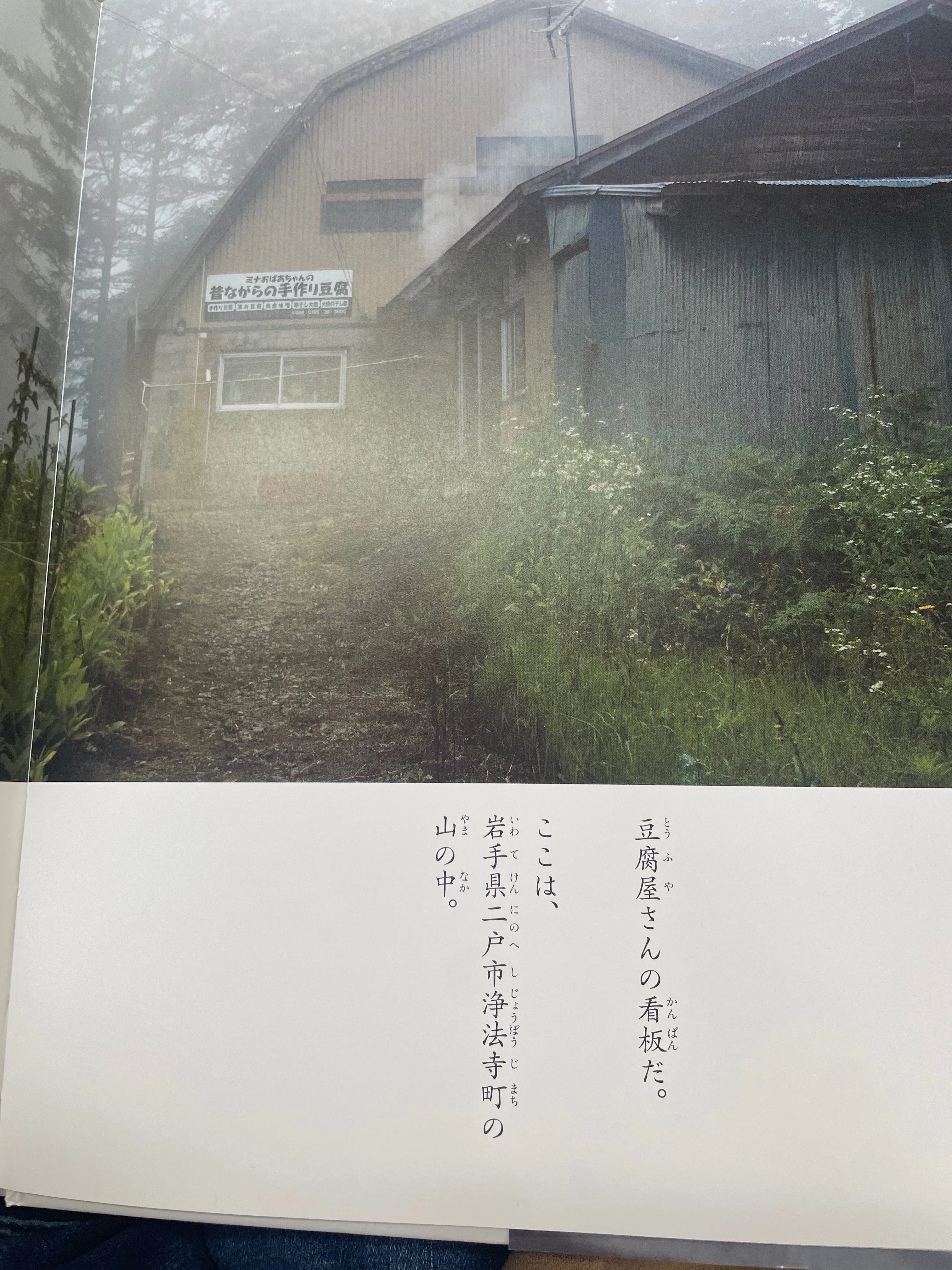 📙読書 【ひき石と24丁のとうふ】｜はっちゃんLIFE