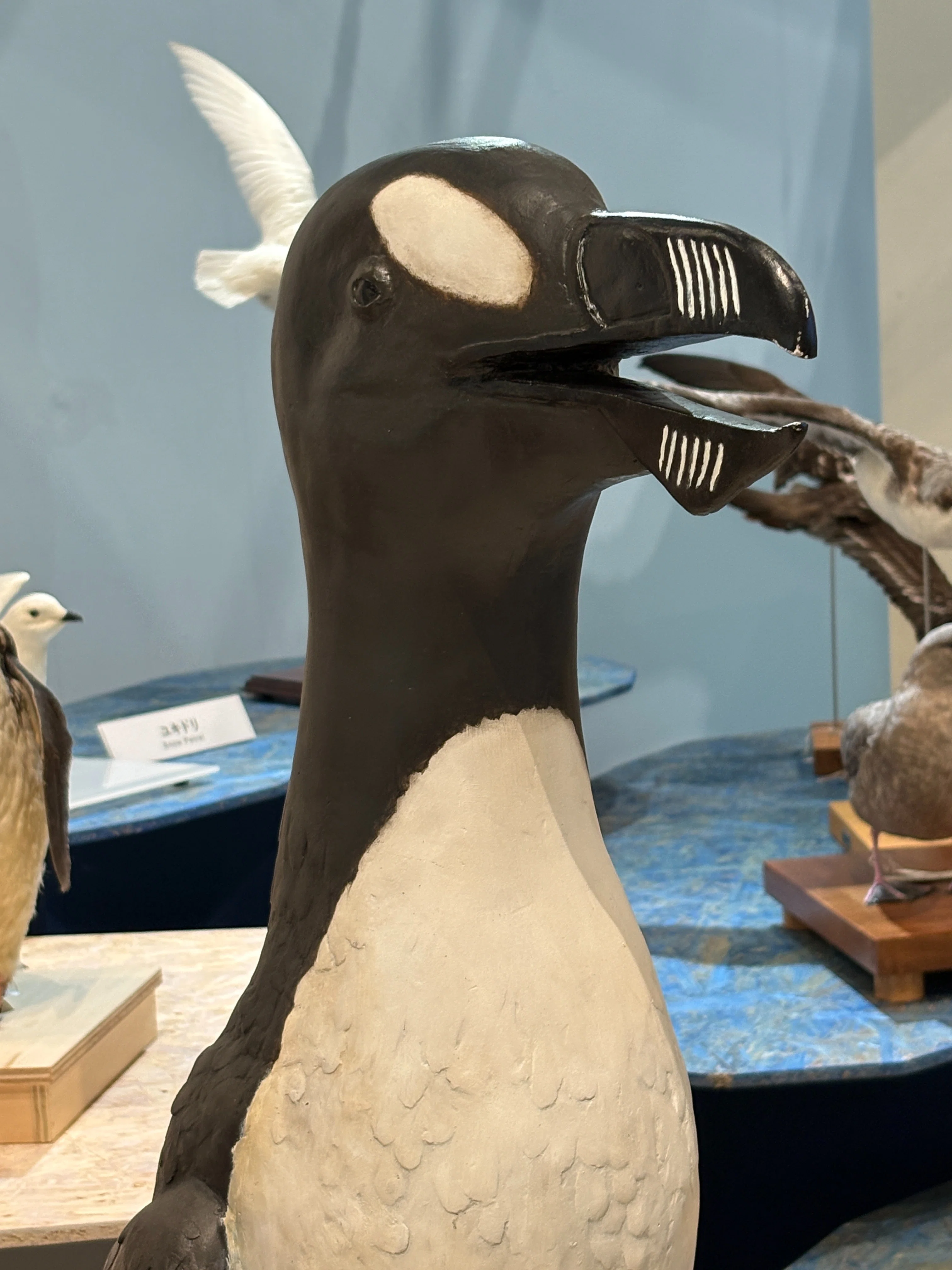 一生分の鳥』に出会う展覧会で見つけた、ペンギンの知られざる過去