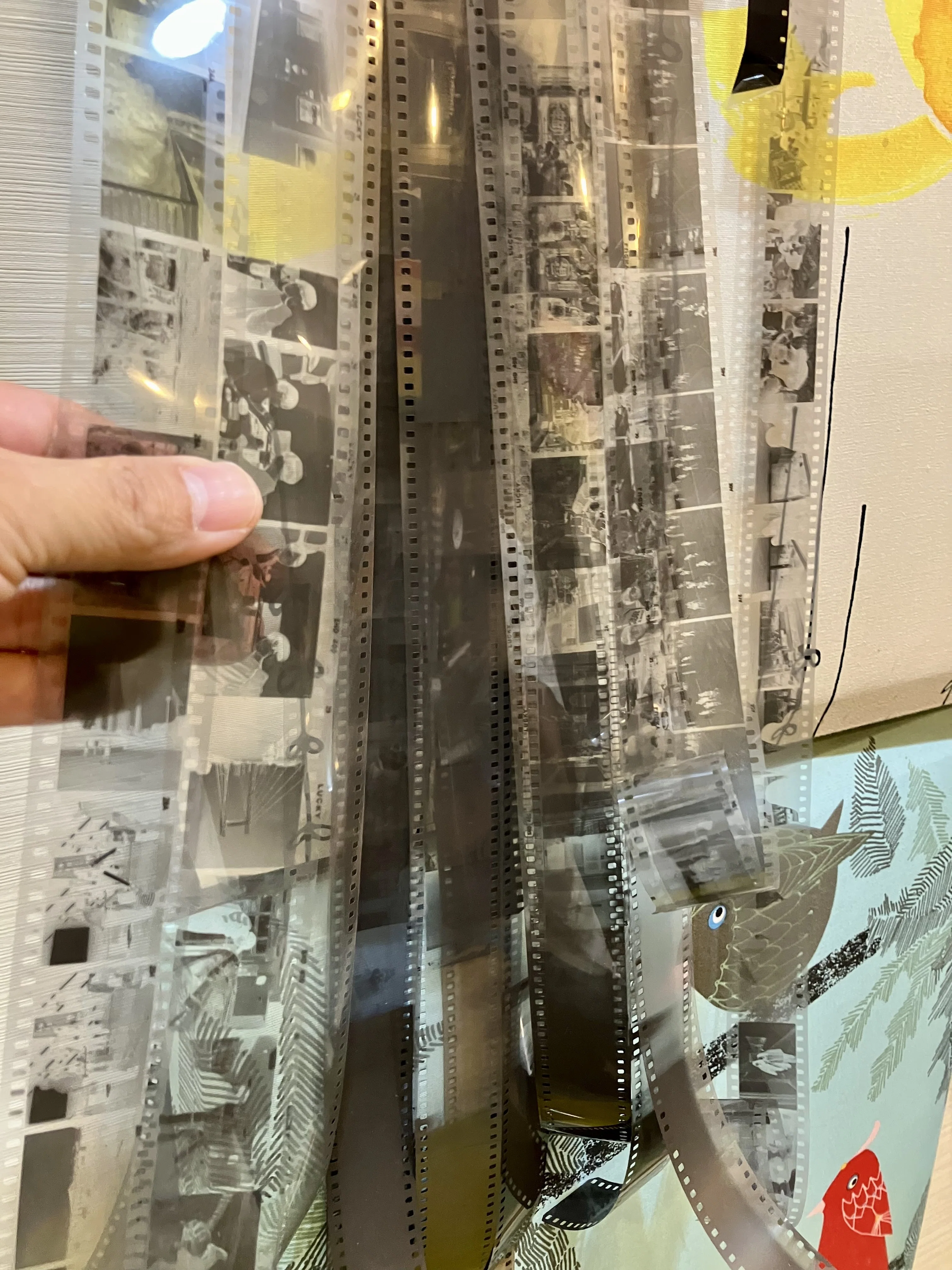 写真】フィルムカメラと白黒自家現像の部材とレシピ｜沖田純之介