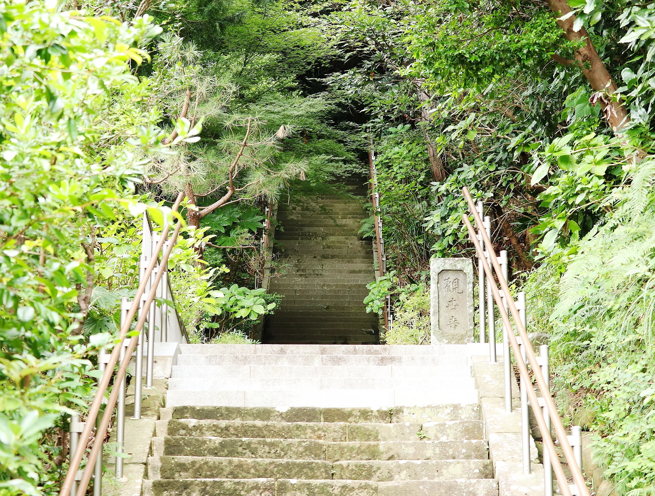 逗子市の謎】想像を超えた「執念の造形」に「背筋が凍る」雨上がりの
