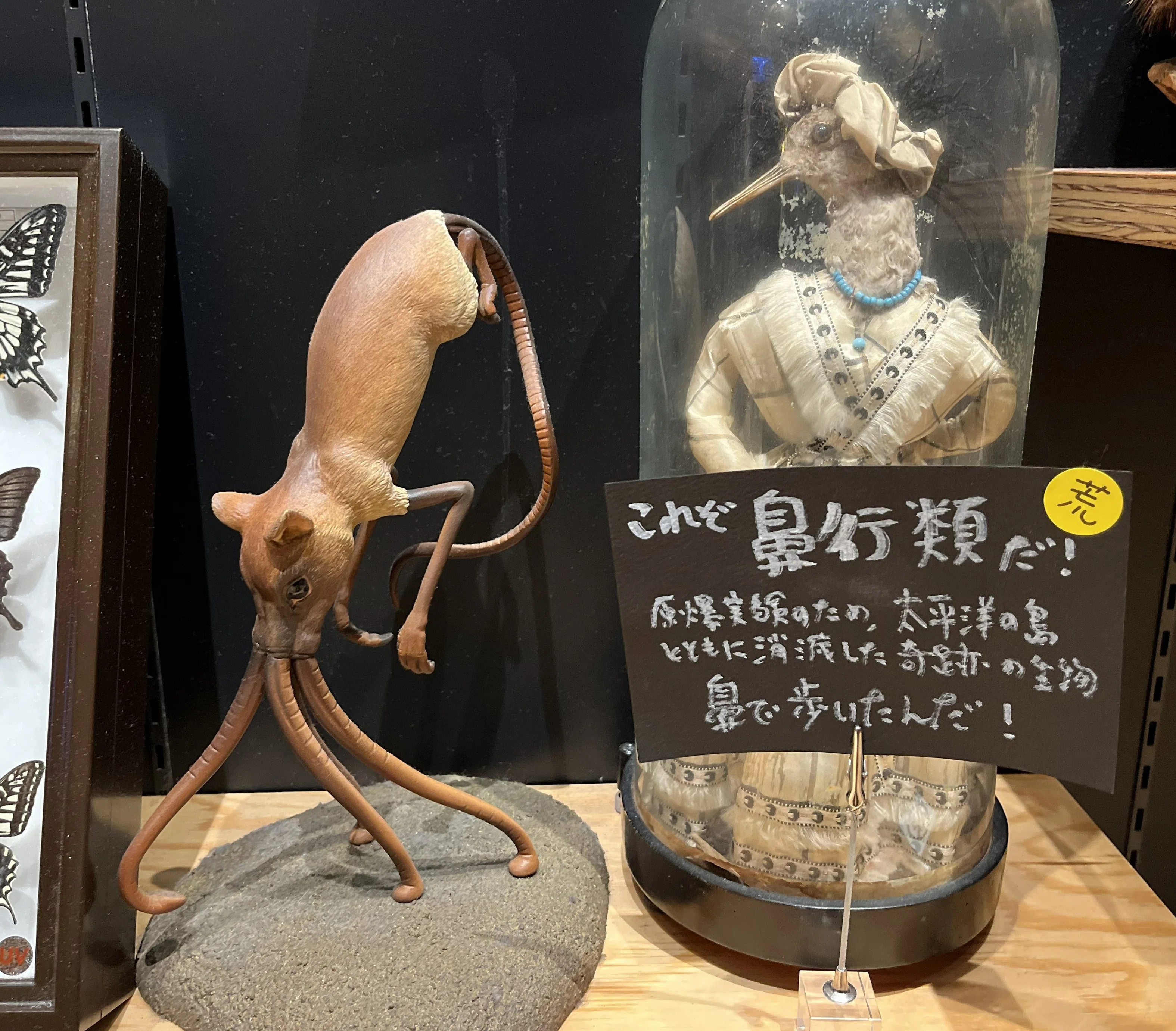 ところざわサクラタウンへ！ バベルの図書館で借りパクされた本に再会
