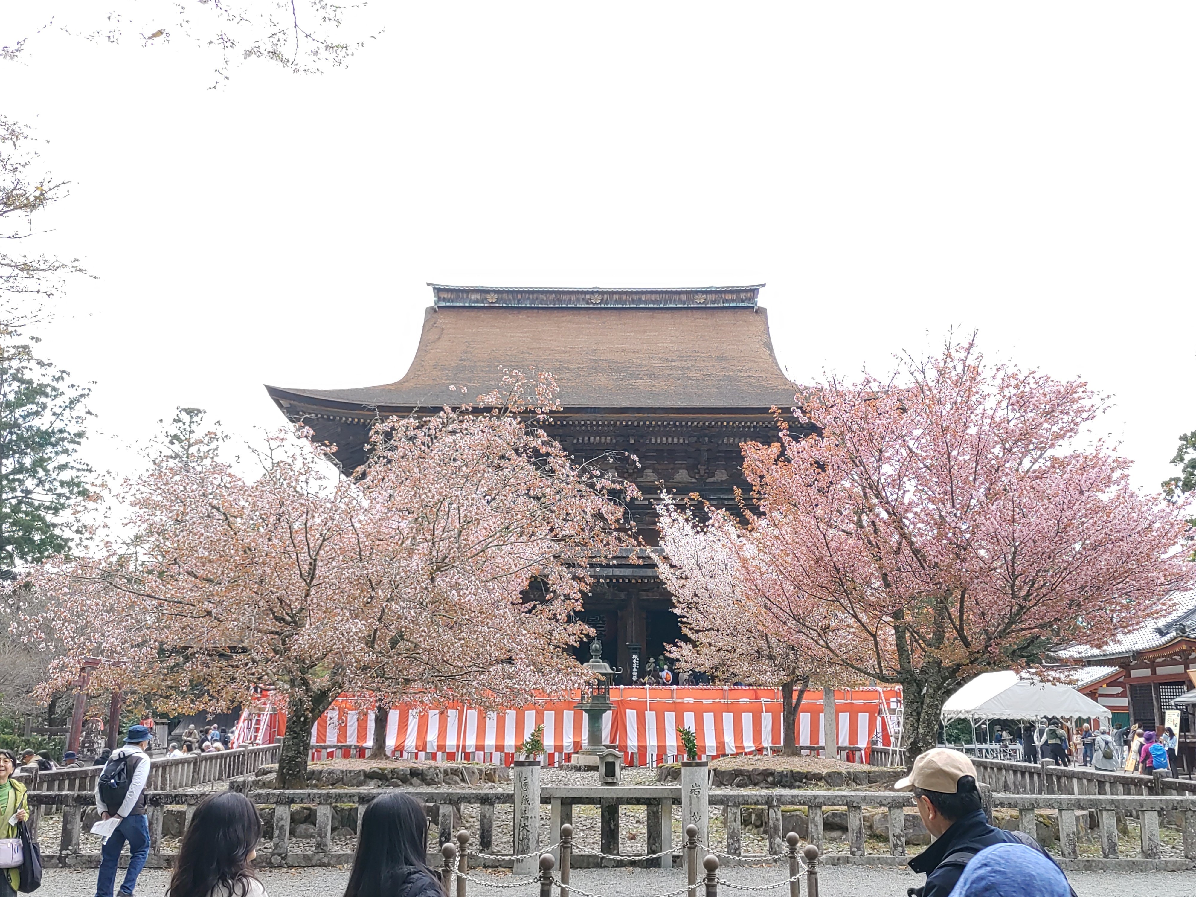 金峯山寺と吉野の桜｜Verossa