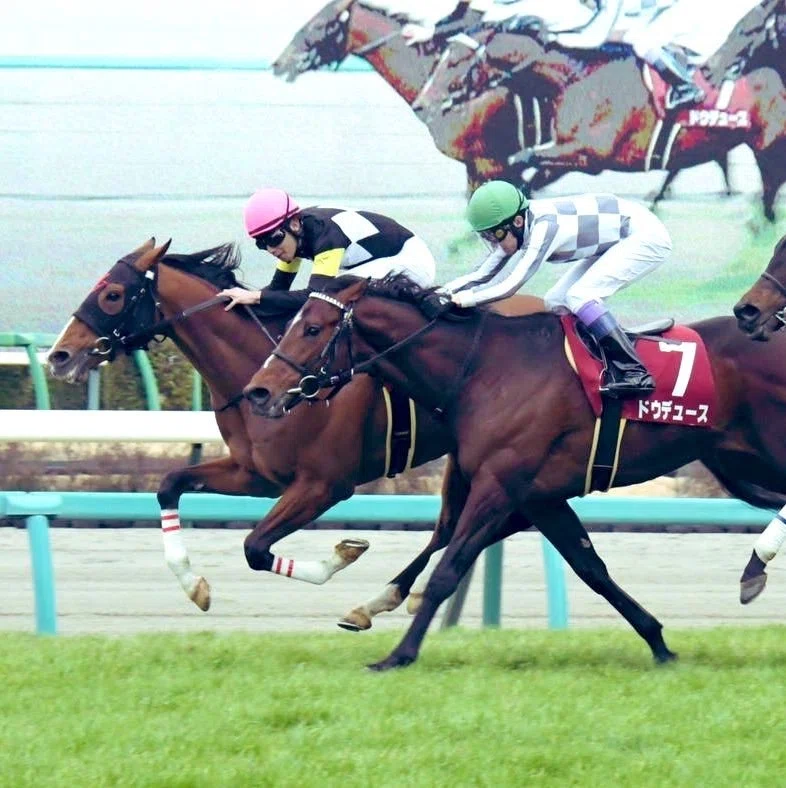 アスクビクターモアの軌跡。〜最強世代の超快速馬が駆け抜けた12戦を