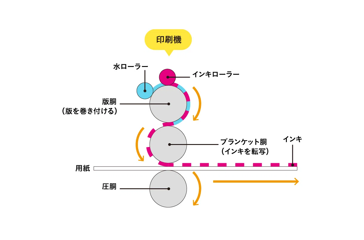 本紙校正 第7回 印刷研修 at 東京印書館&ワンエイト｜SKG