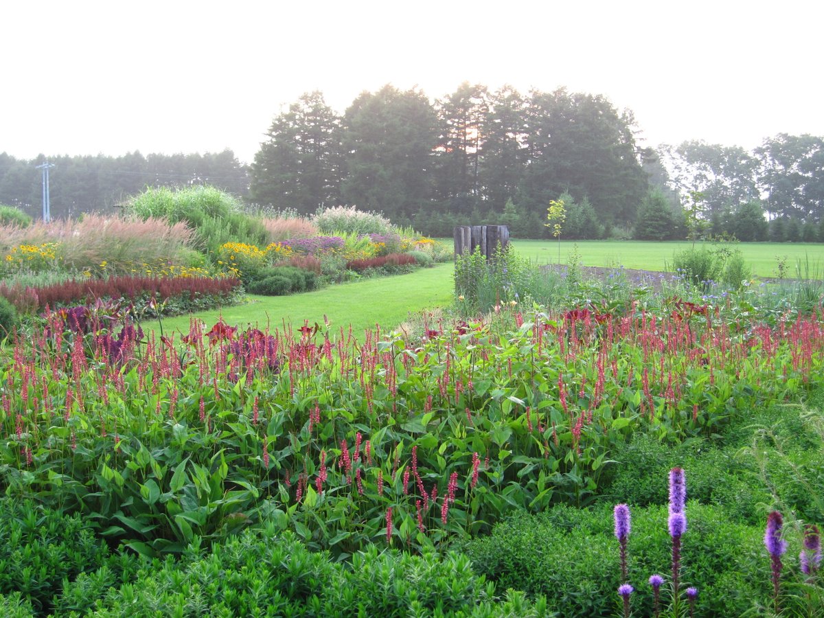 花のバトンをつなごう【第2回】夏の庭を支える宿根草――初夏から秋口まで花をつなぐ品種選び