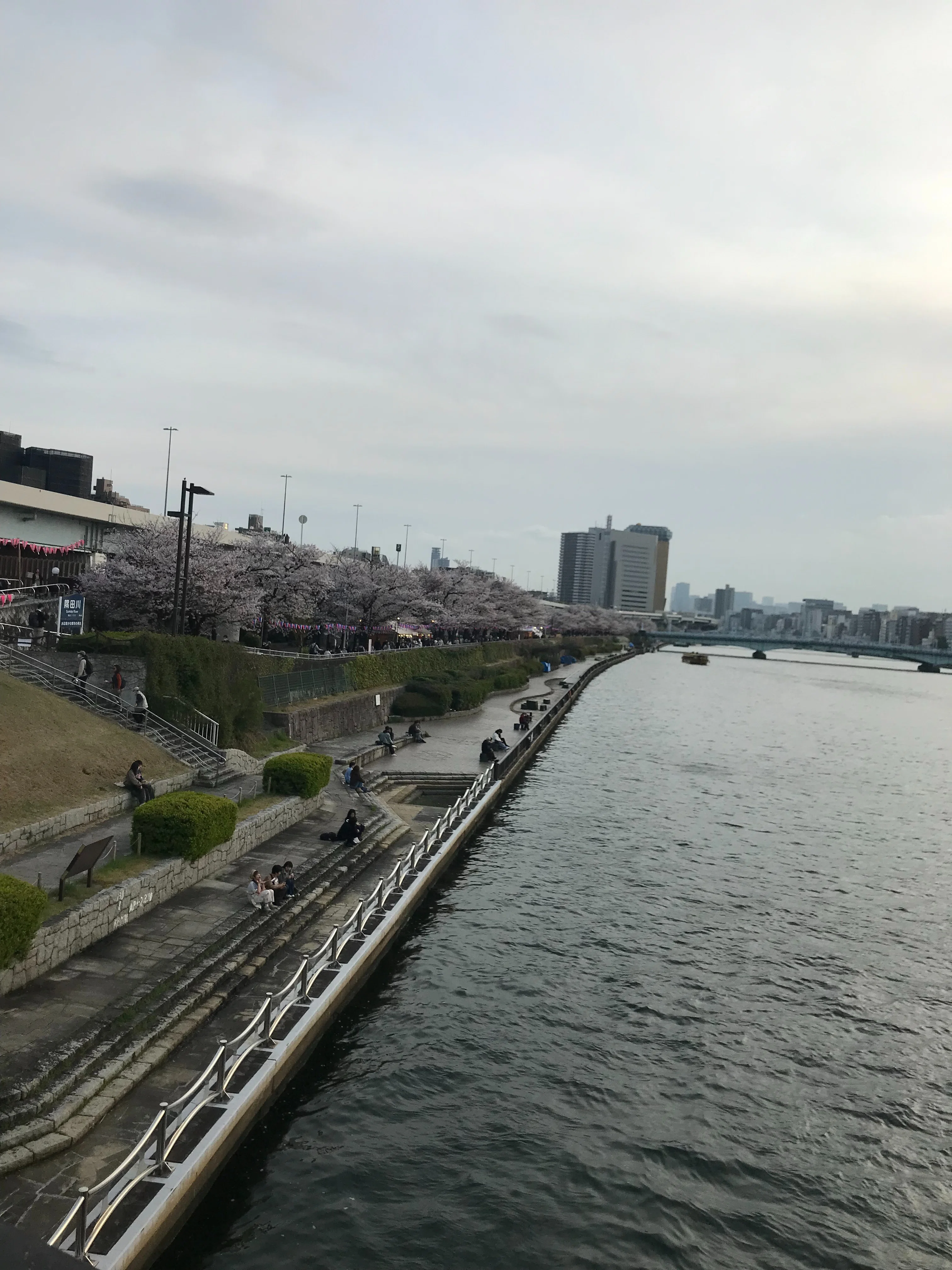 妻のつくった　次男の首像　木蓮 妻のつくった 次男の首像 木蓮 【公式通販】