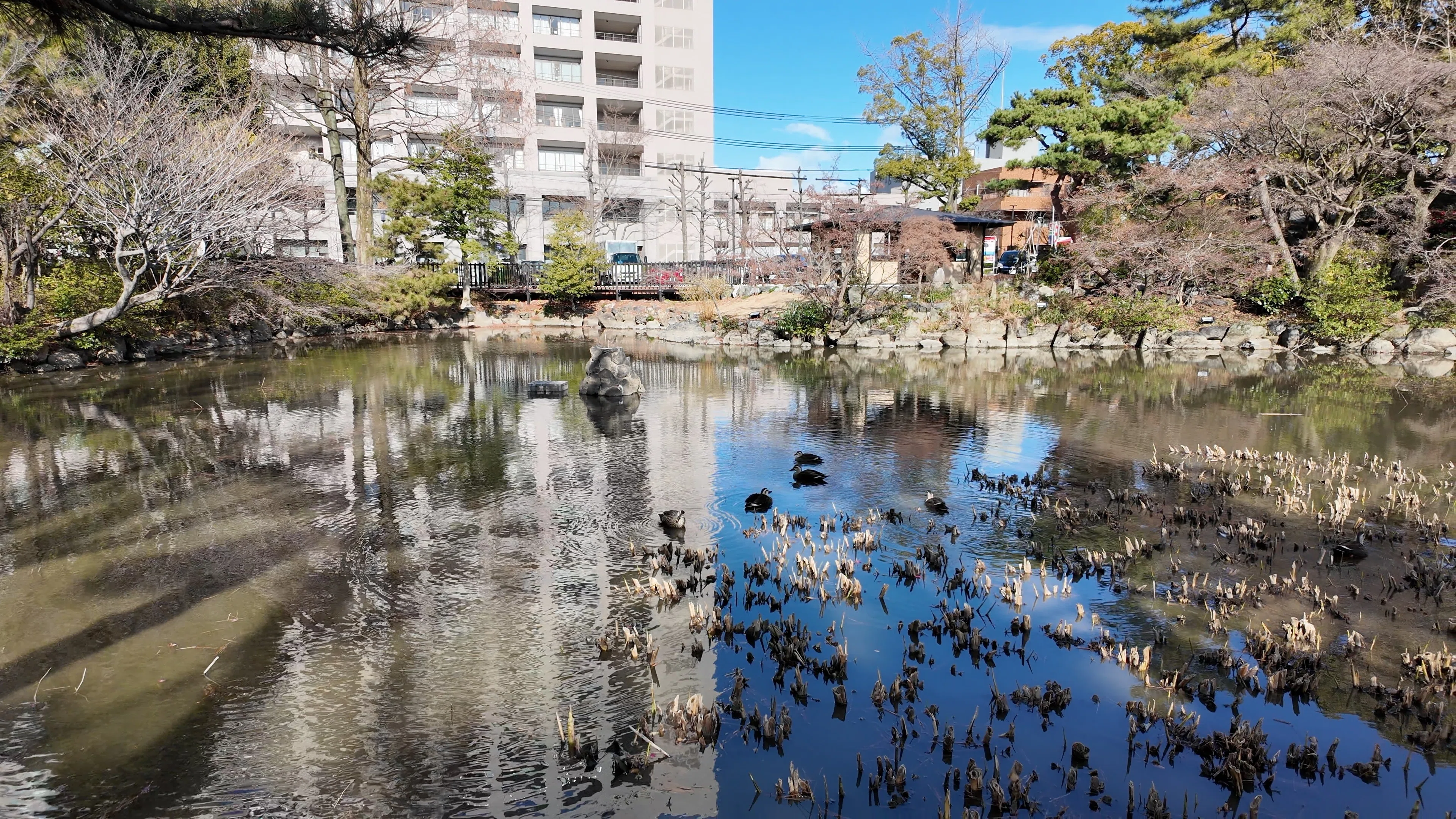 鶴舞公園】噴水塔・奏楽堂・踊り子像 — 近代建築と彫刻が残る冬の昭和