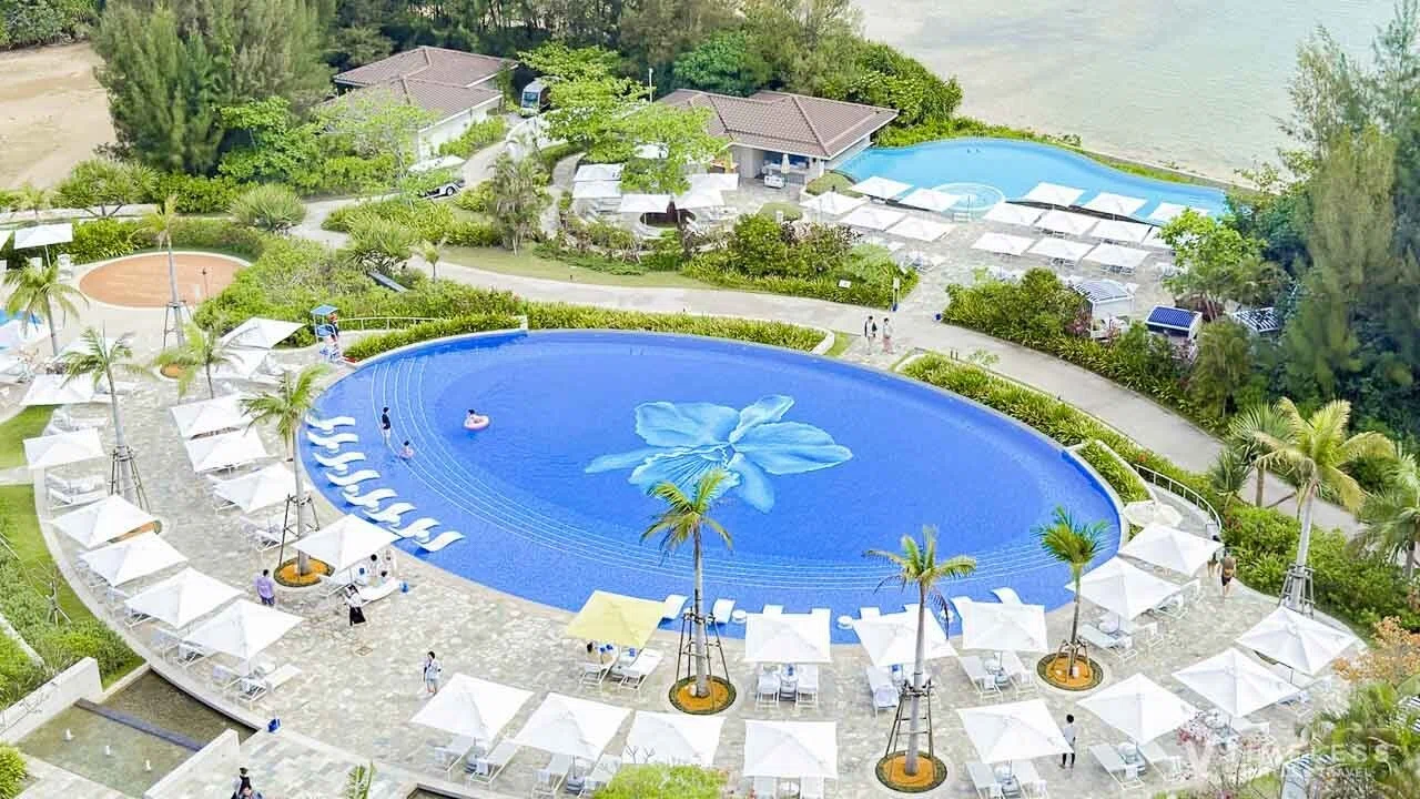 バラ売り可能】パルナシウス・アッコ・ツライシャニ（1ペア、中国/青海