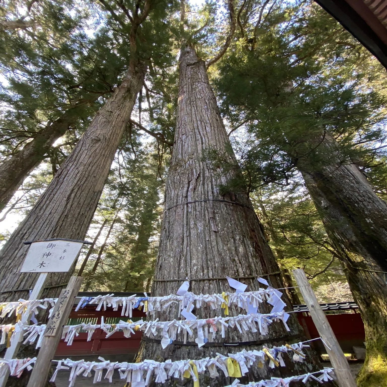 日光シリーズ③日光二荒山神社──補陀洛の山が生んだ「縁結び」の真意 