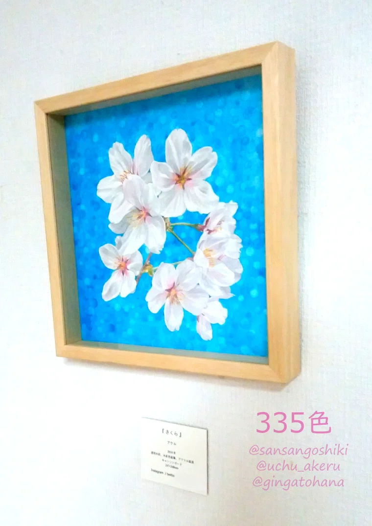 さくら」 水彩画 その1 ｜335色 - さんさんごしき -