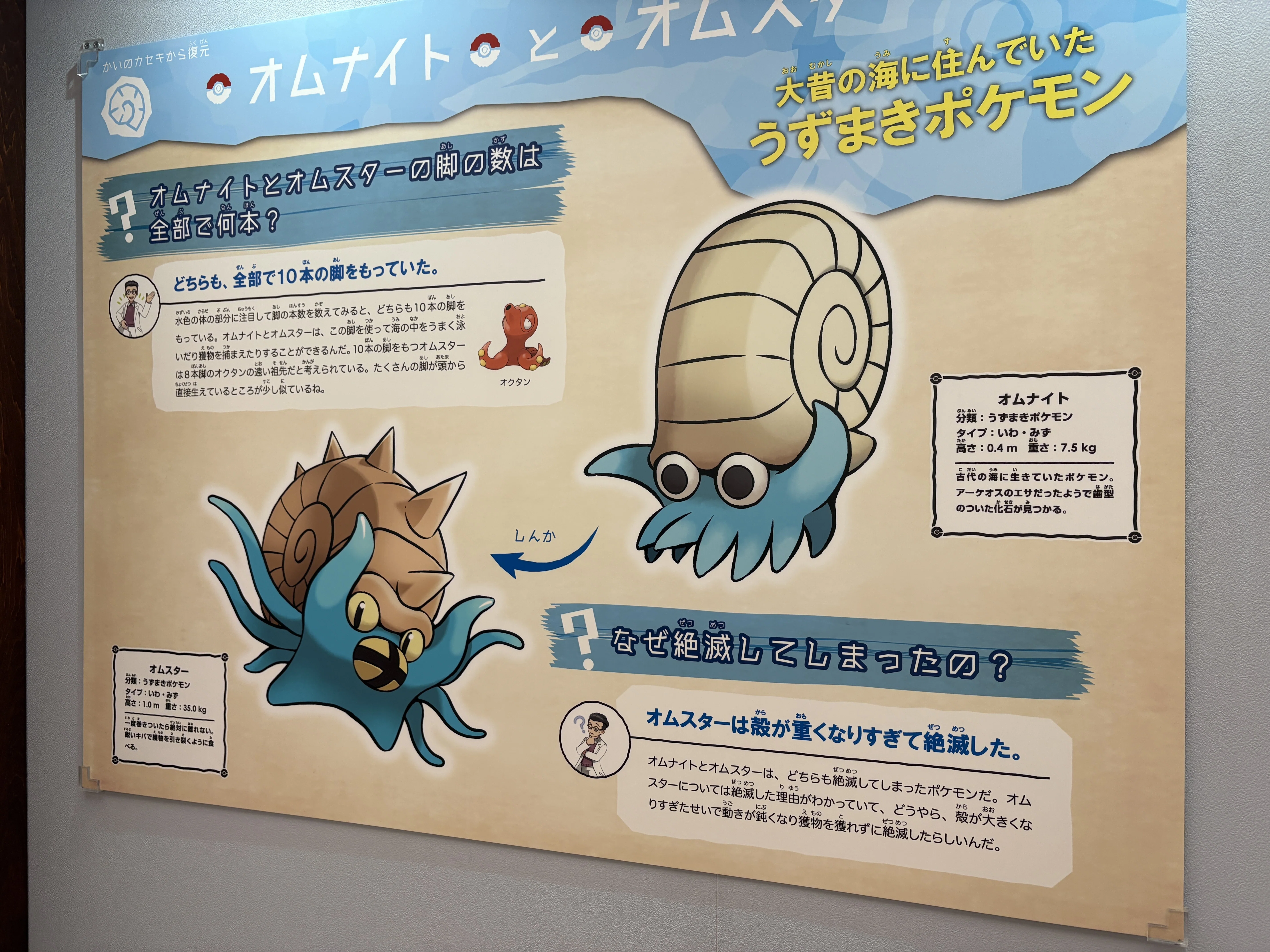 ポケモン化石博物館」 三重総合博物館へ行ってきた｜ソロウ