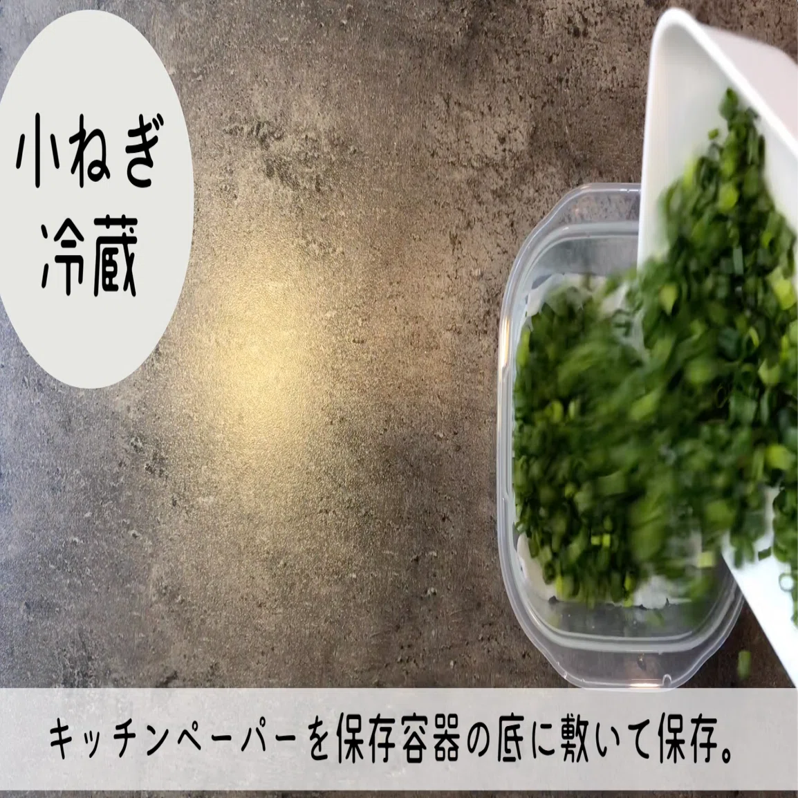 ネギは、切って保存が◎！冷蔵5日・冷凍1ヶ月のコツを解説｜N.D.Kitchen