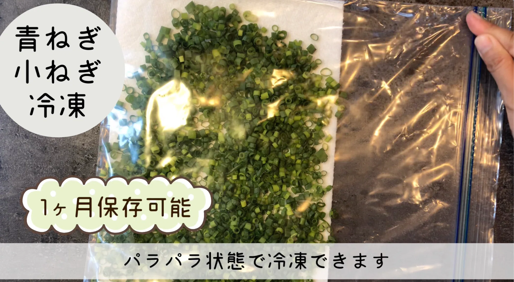 ネギは、切って保存が◎！冷蔵5日・冷凍1ヶ月のコツを解説｜N.D.Kitchen