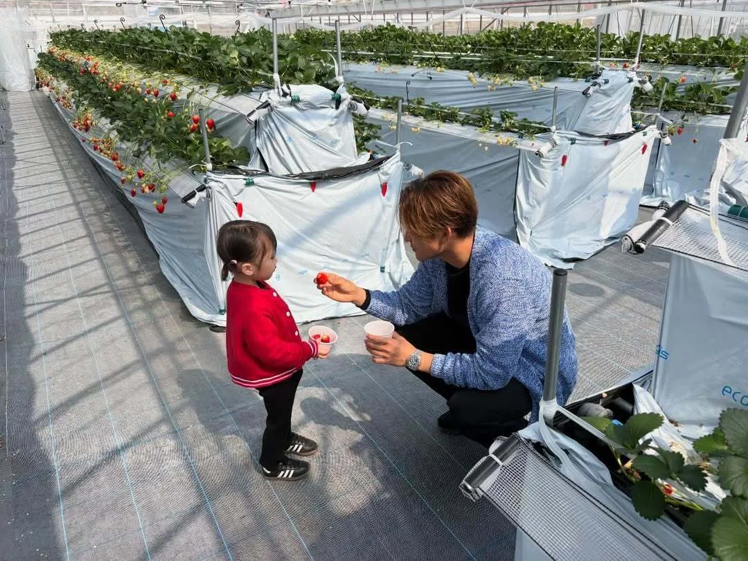 Yakumo Farm Summary | Purchases, Strawberry Picking, Social Media