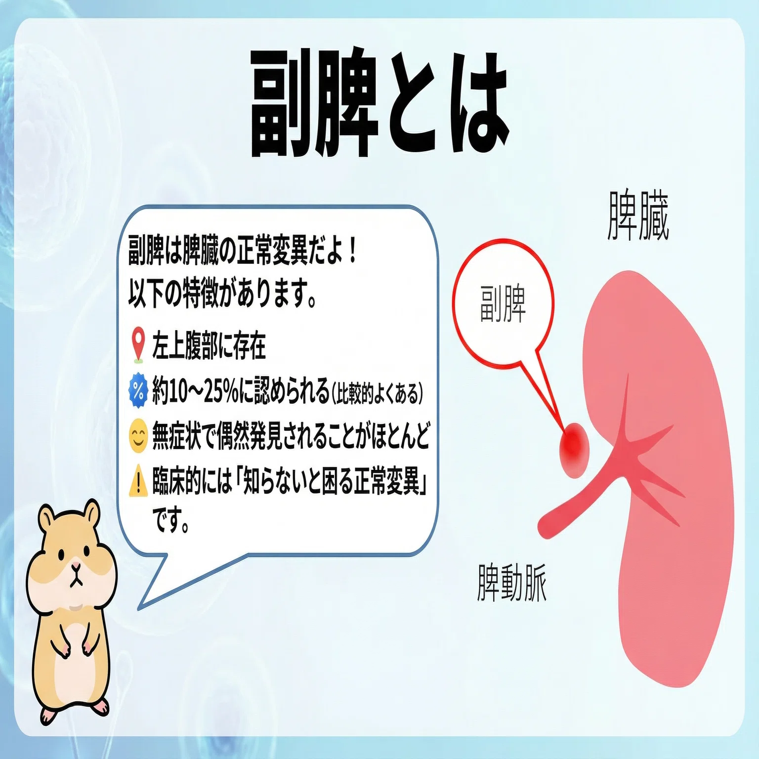 副 脾 と は