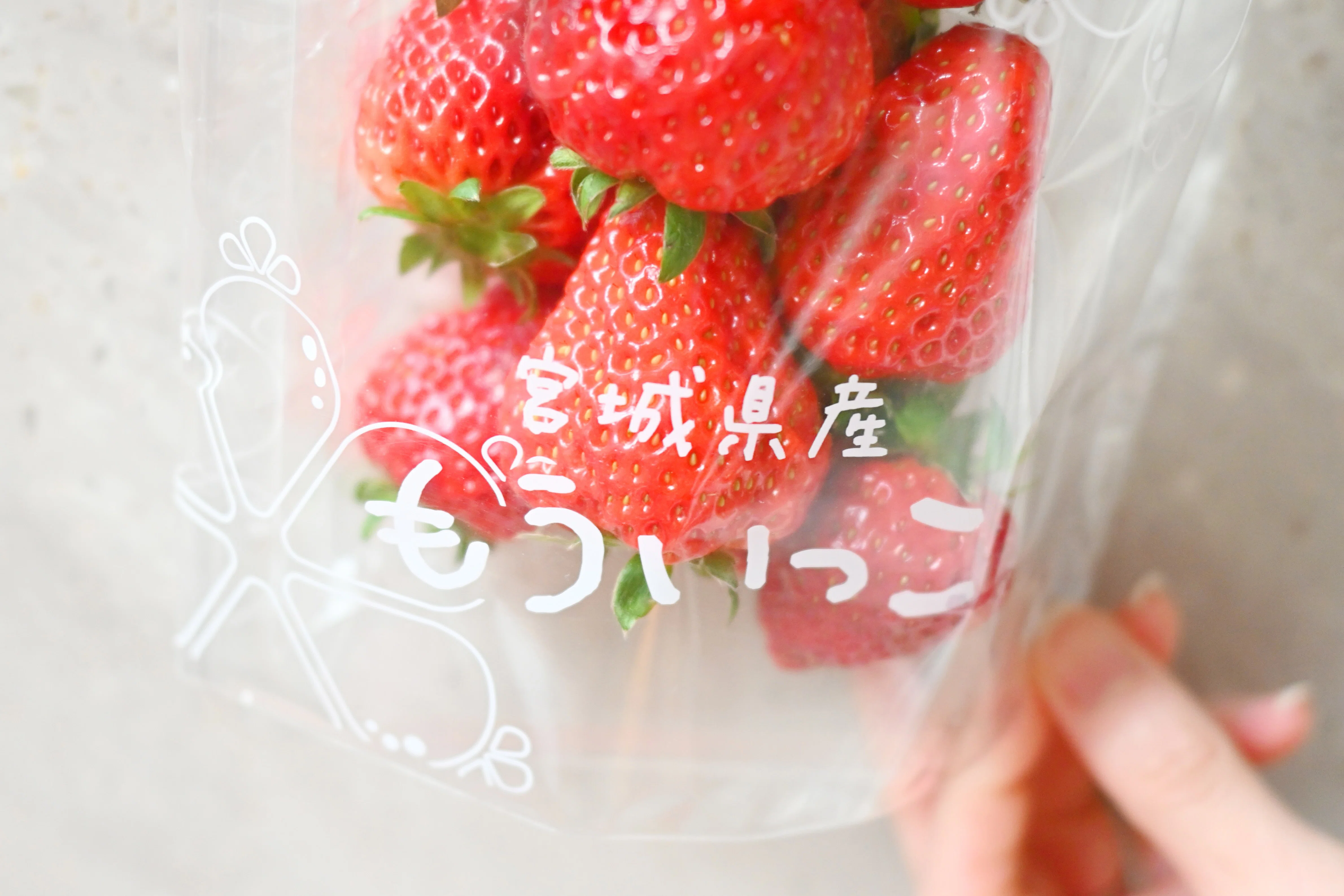 宮城のいちご4種を食べ比べ！味・食感の違いが想像以上だった｜みやぎ