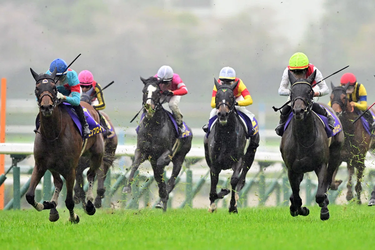 桜花賞2026】最終追い切り気配をチェック ドリームコアは完成度上々 