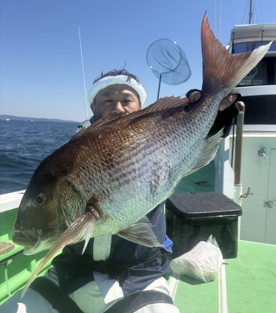 マダイ】大型3.2kgをゲット！【泳がせ】大物が食いつくもバラシあり