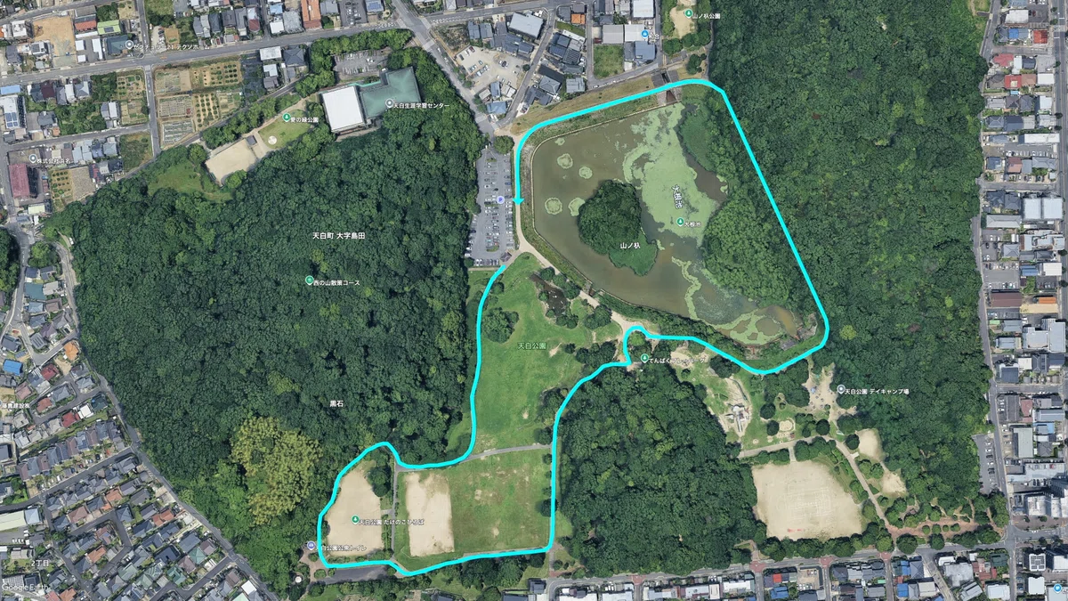 【天白公園】大根池のほとりに、名古屋市内でこんな自然が残っていた — 天白区|Masami Ikawa