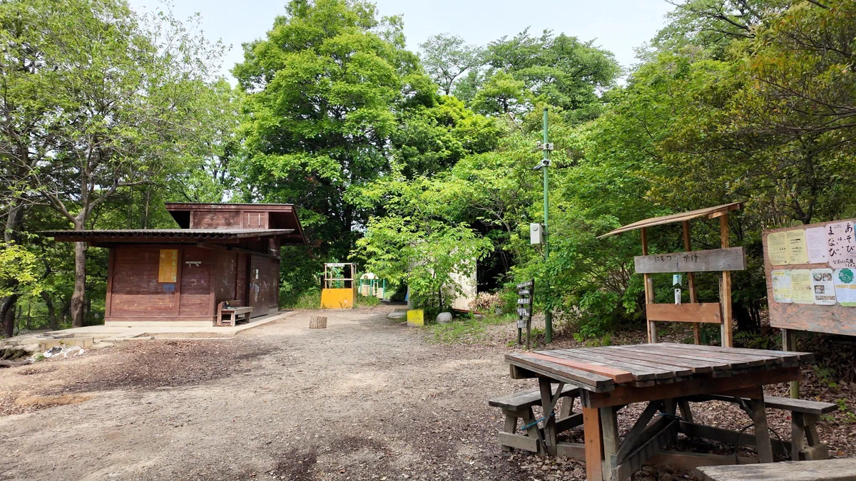 【天白公園】大根池のほとりに、名古屋市内でこんな自然が残っていた — 天白区|Masami Ikawa