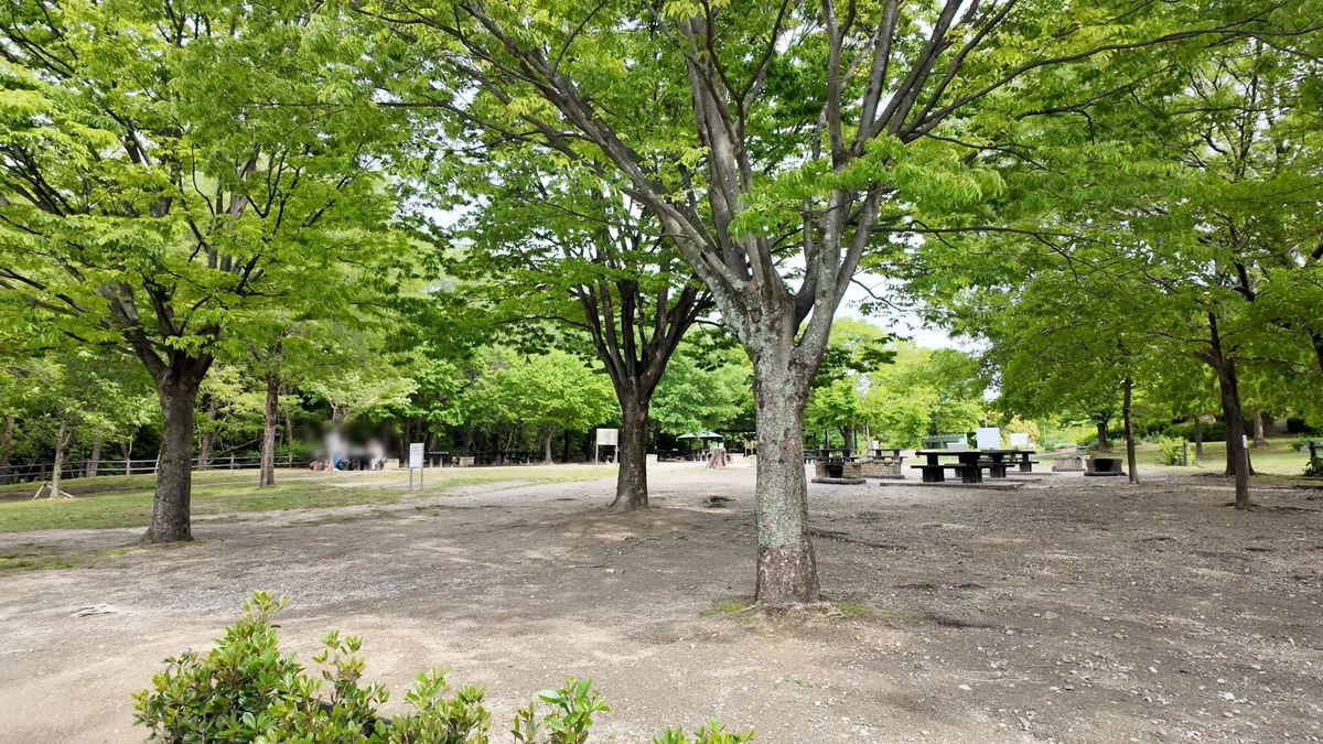 【天白公園】大根池のほとりに、名古屋市内でこんな自然が残っていた — 天白区|Masami Ikawa