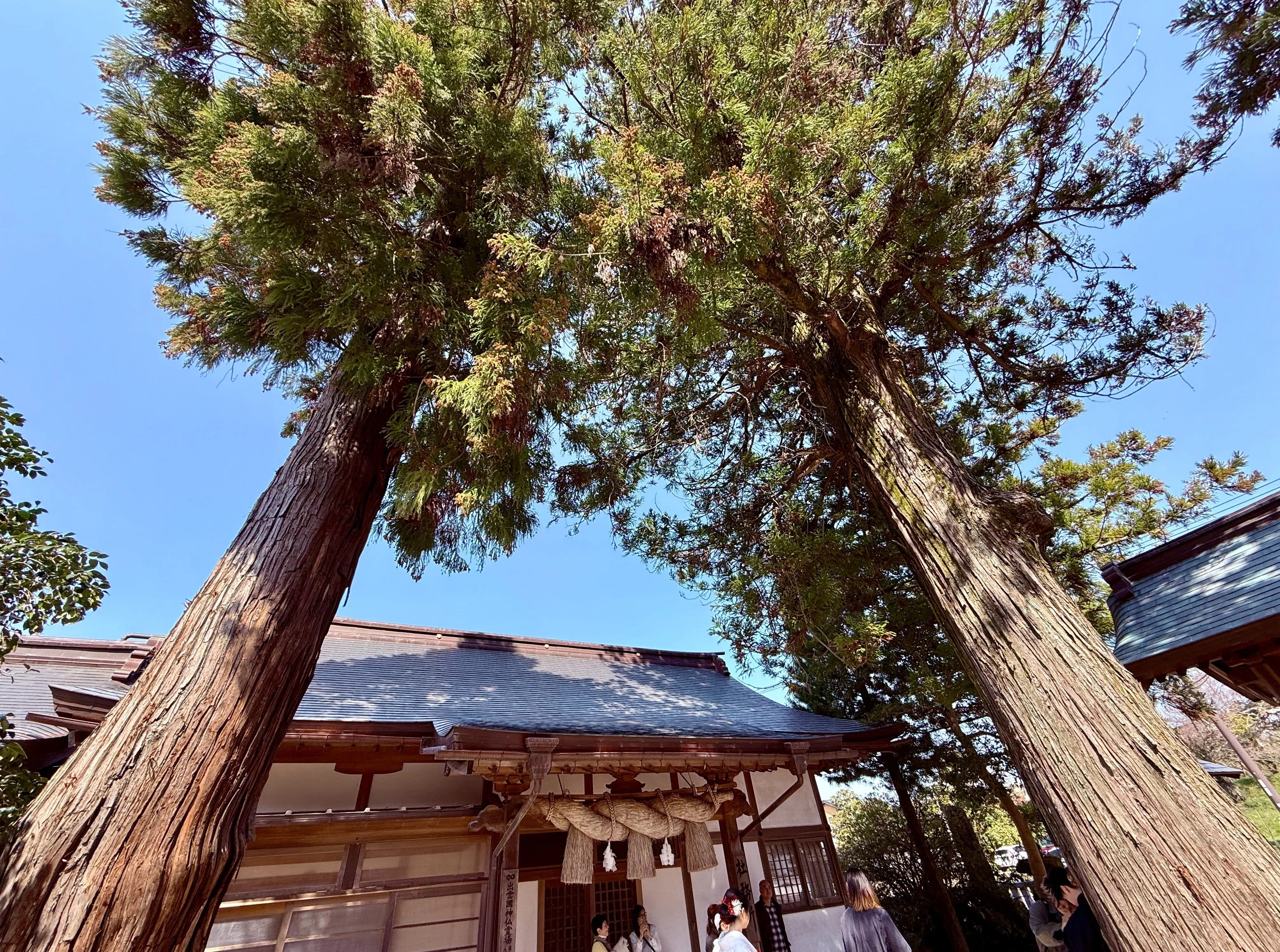 いつも（出雲）君と✧♡③出雲の神社に迎えられる｜あやのん