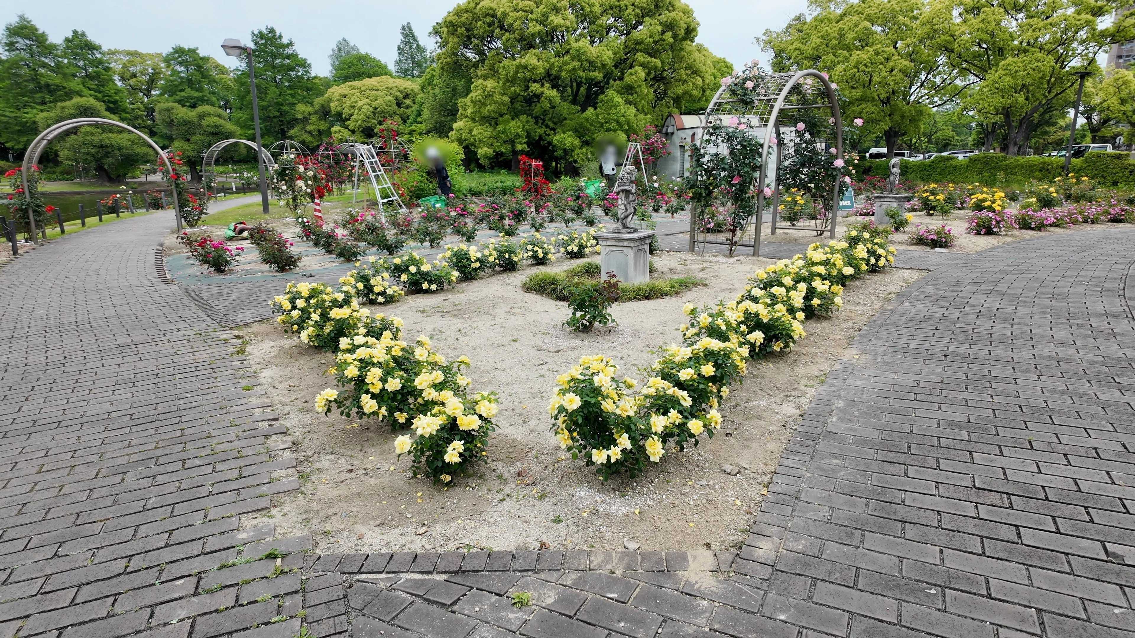 Motohama Park] Rose Garden, Sculptures, Fountains — I never knew