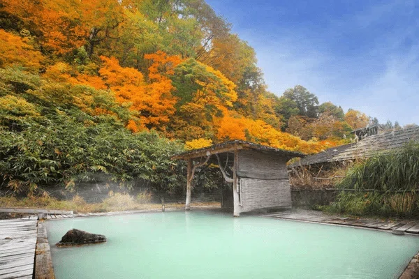 秋田県の空き家事情とその背景