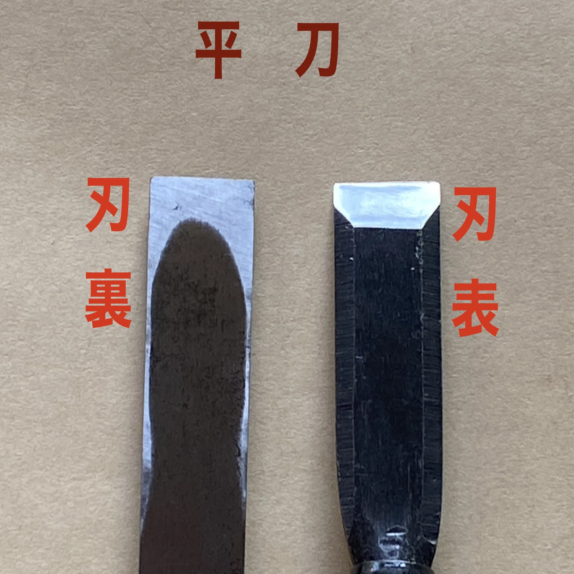 活動歴および当時の関連ビジュアル記録