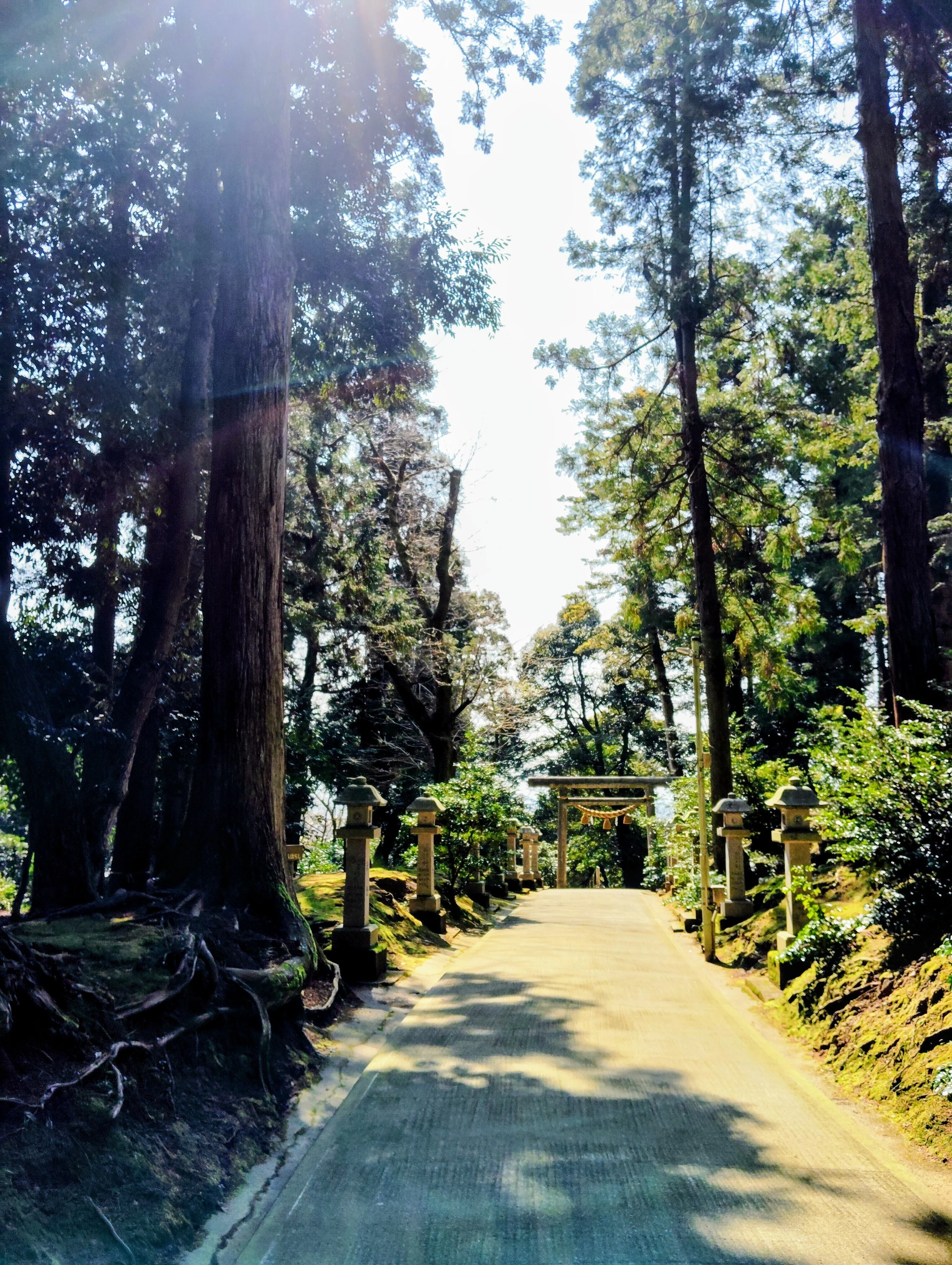 2026.4.3 もうひとつの二上山 ―卒業旅行 in 富山湾 新湊内川 氣多神社