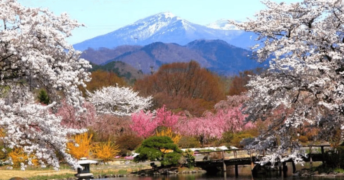 福島県の空き家事情とその背景