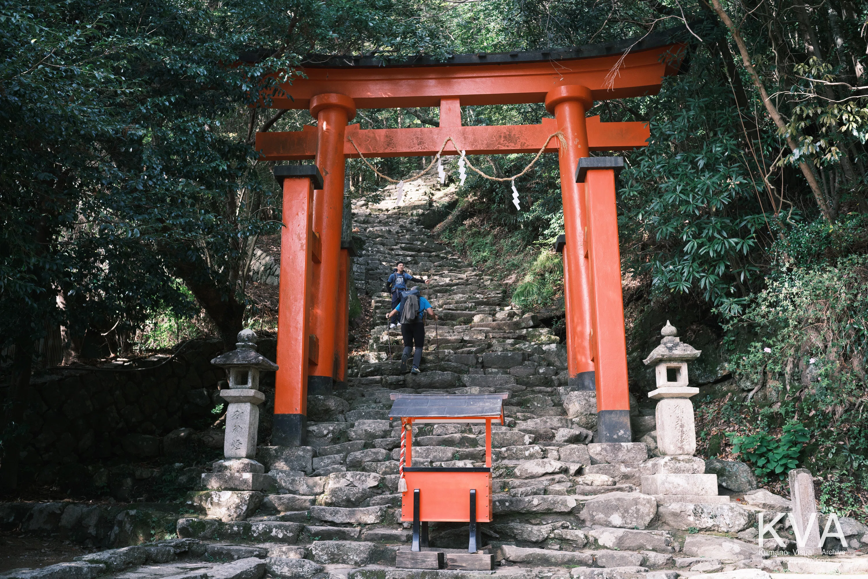 2026年、春。桜に彩られた神倉神社のゴトビキ岩。｜KVA | kumanokodonet