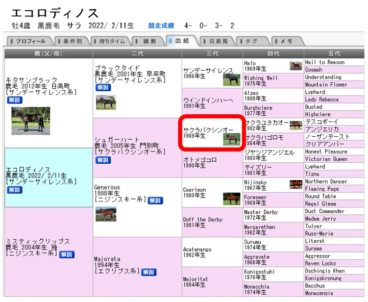2026桜花賞 ポスターのサイン解読｜日本サイン競馬会