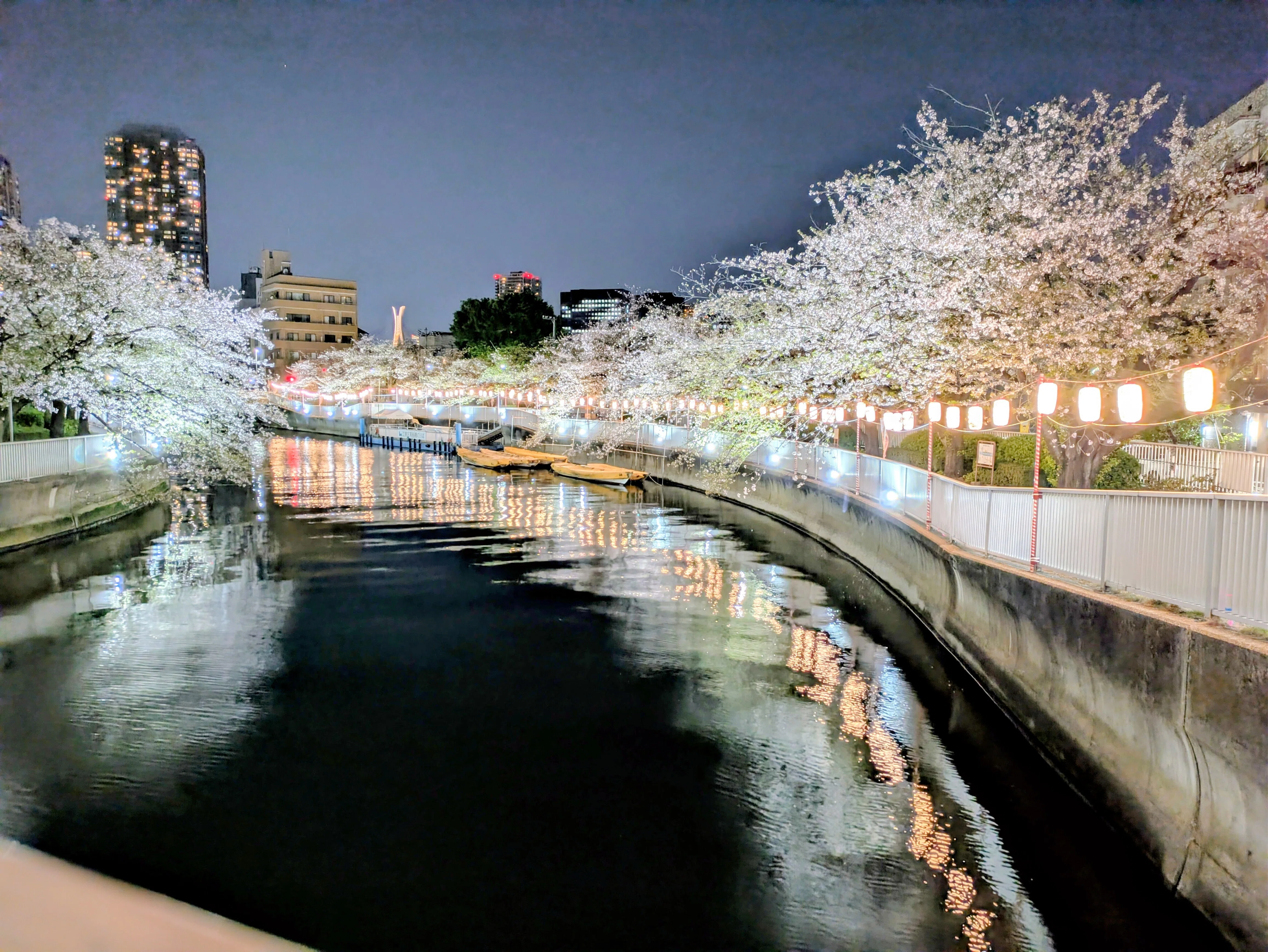 夜桜サイクリング｜Mrs.chocolate