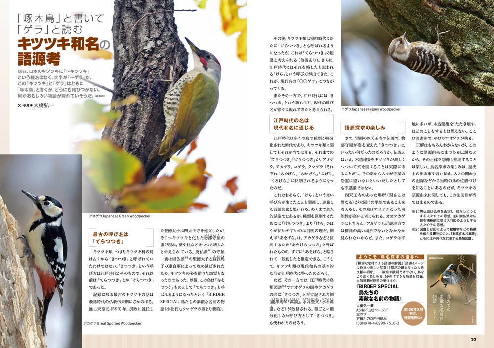 BIRDER5月号の見どころ｜ブンイチ（文一総合出版）