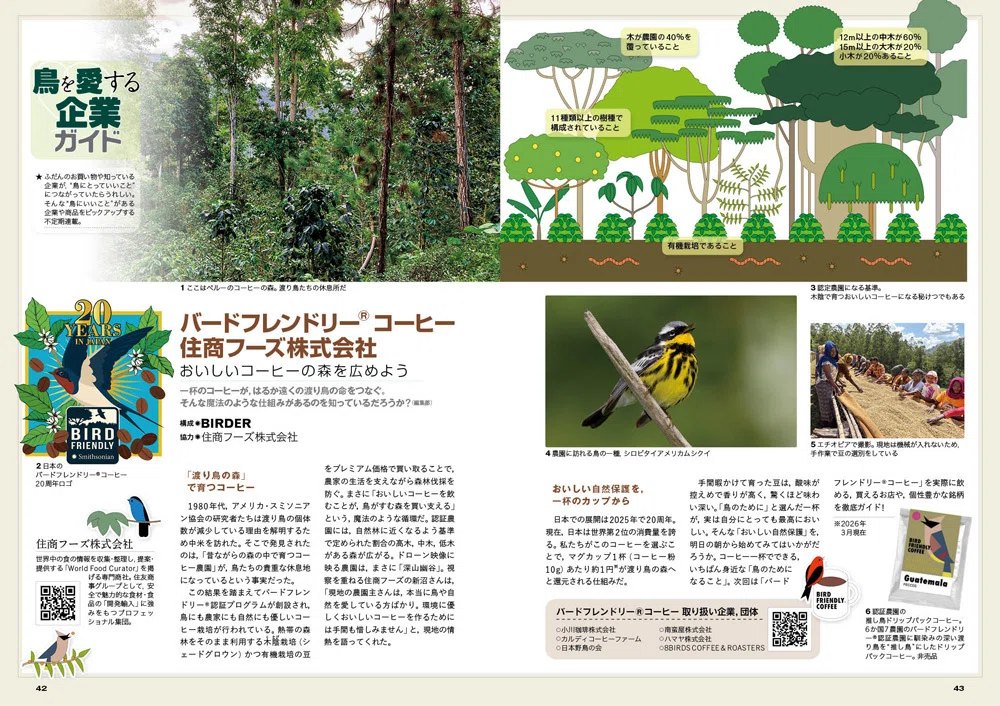 BIRDER5月号の見どころ｜ブンイチ（文一総合出版）