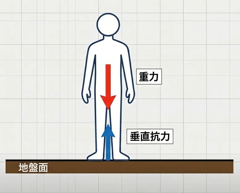 なぜ、人はずり下がるのか 〜介護ベッドに欠かせない、膝上げの力学｜てすり屋のひとりごと 橋本 洋一郎（合同会社 湘南改造家）