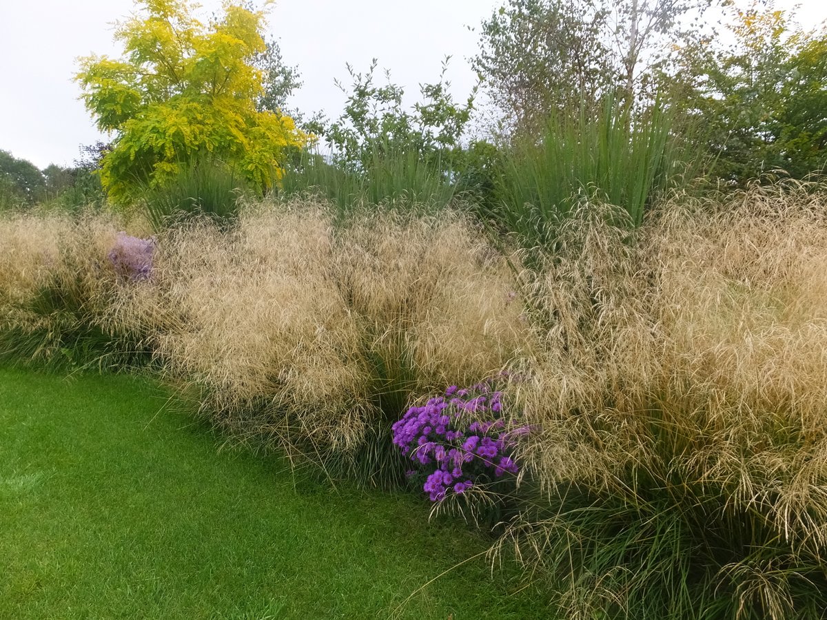 【開花リレー第4回・最終回】花がなくても美しい葉の宿根草――一年を通じて庭を支える品種選び
