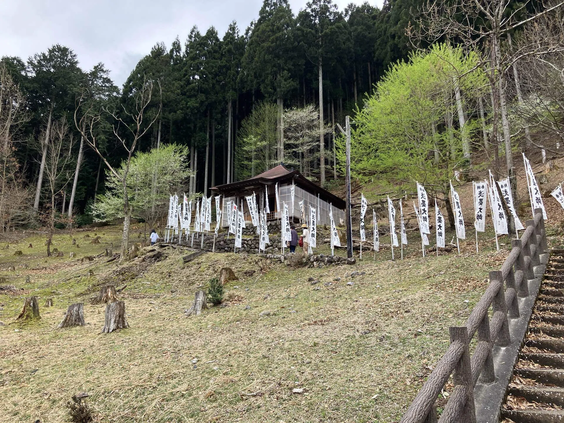 美濃の風景 薄墨桜の1500年｜アトリエトモコ
