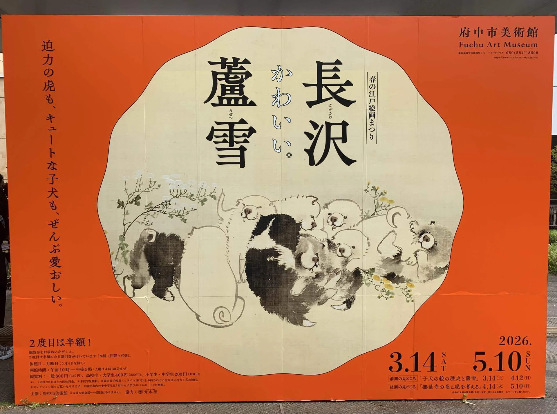 長沢蘆雪展大解剖・子犬かわいいランキングベスト5！【府中市美術館