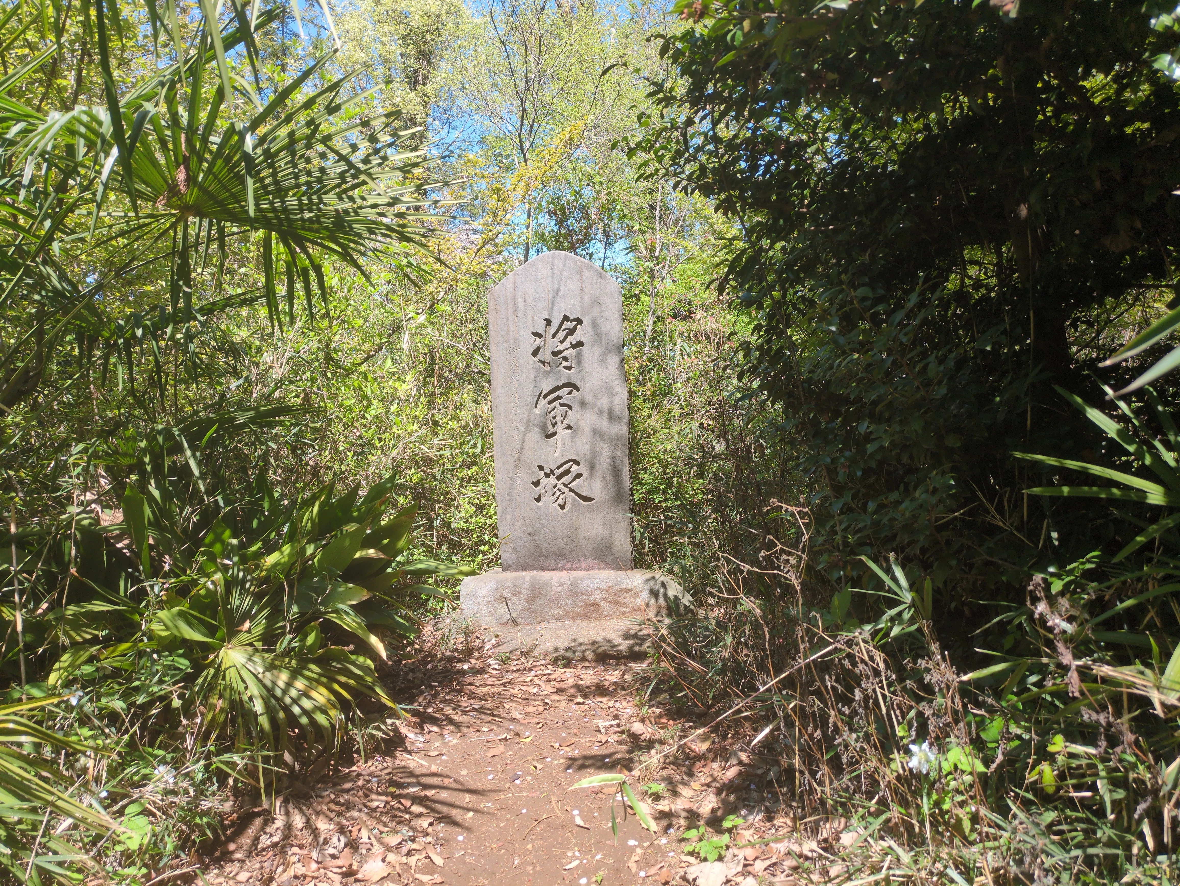 ラン＆地形探索 東村山 志村けんとトトロの町を歩いたら、縄文まで
